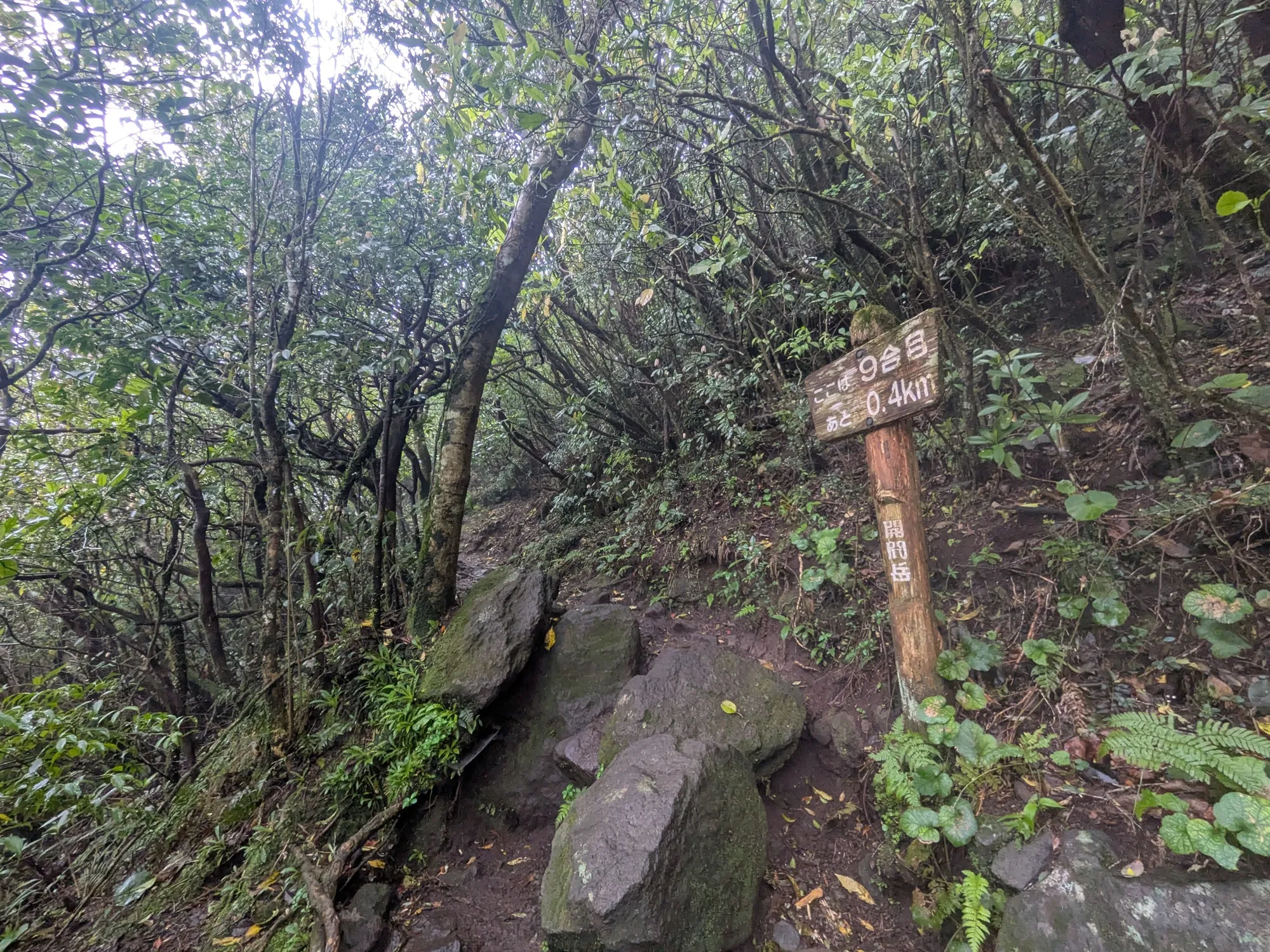 たむら鍼灸整骨院のイメージ