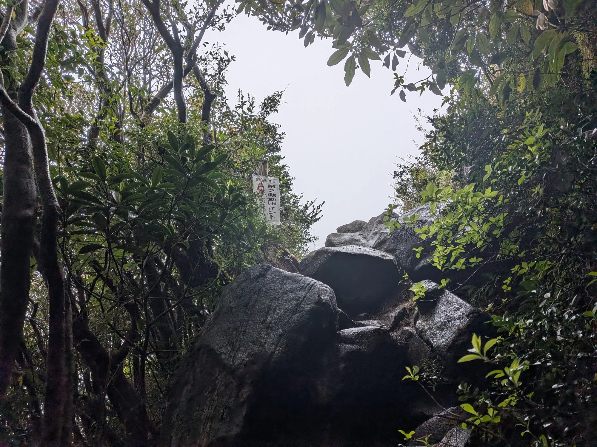 たむら鍼灸整骨院のイメージ