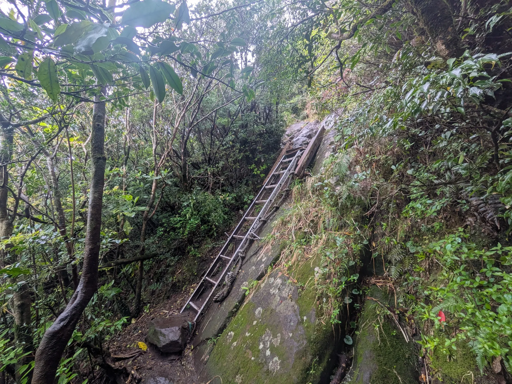 たむら鍼灸整骨院のイメージ