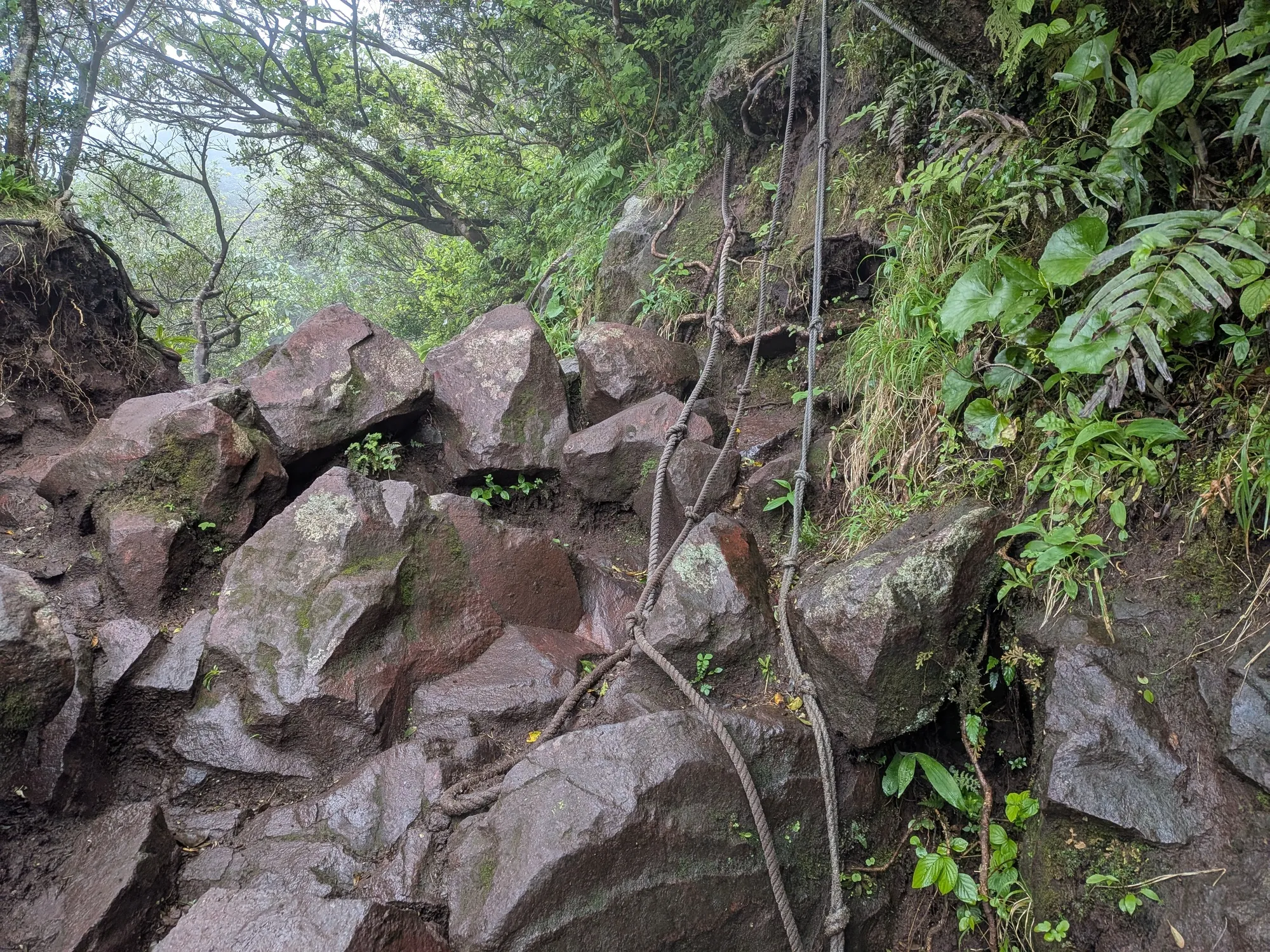 たむら鍼灸整骨院のイメージ