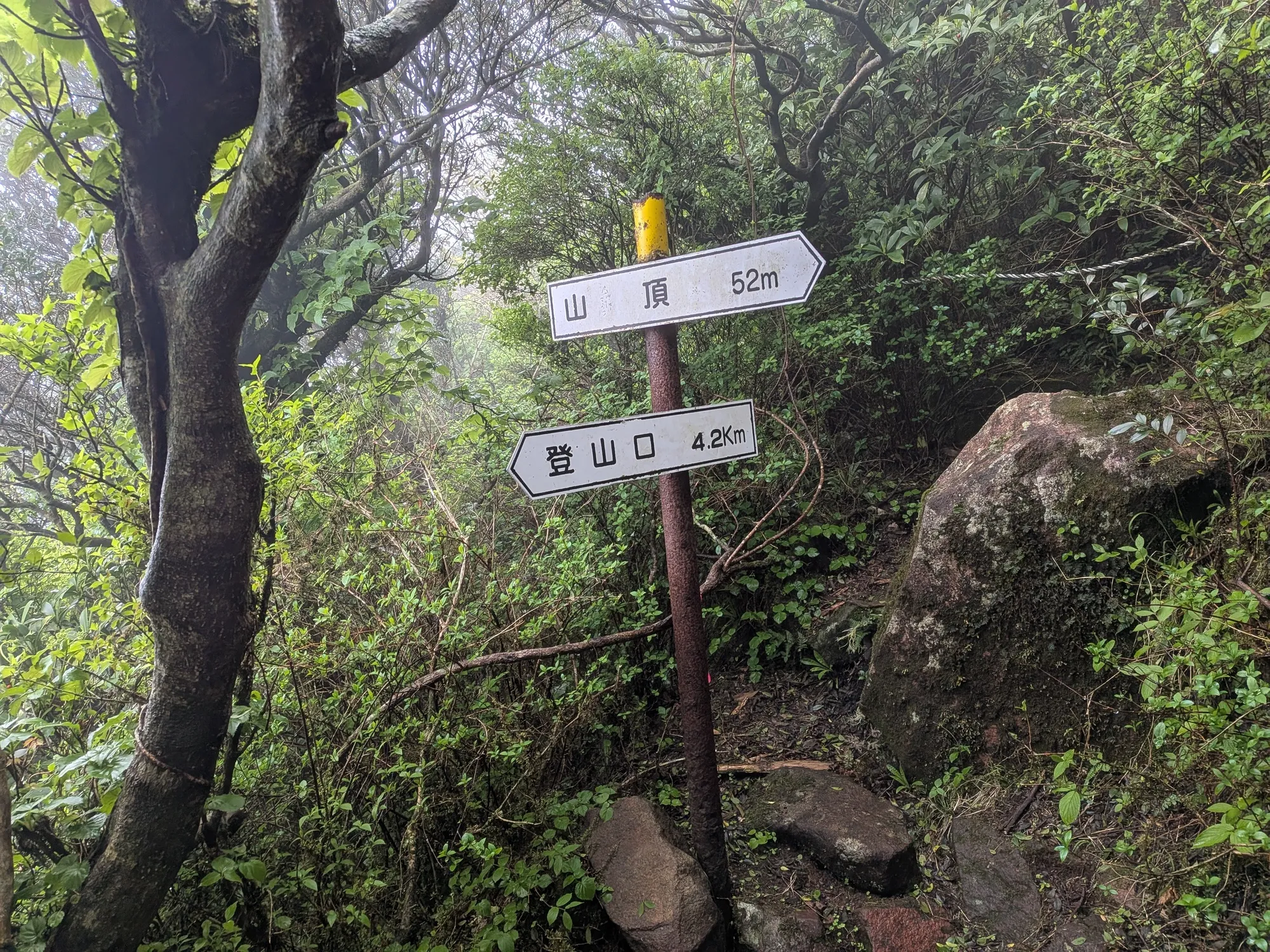 たむら鍼灸整骨院のイメージ