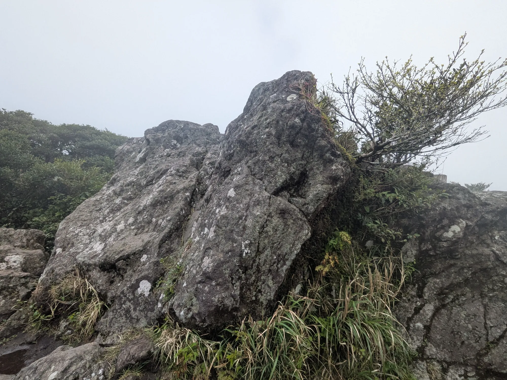 たむら鍼灸整骨院のイメージ