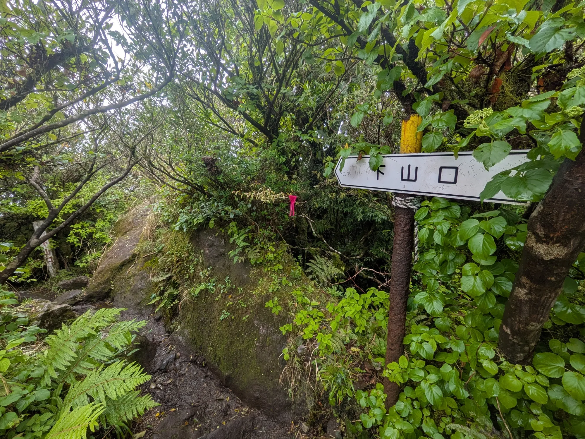 たむら鍼灸整骨院のイメージ