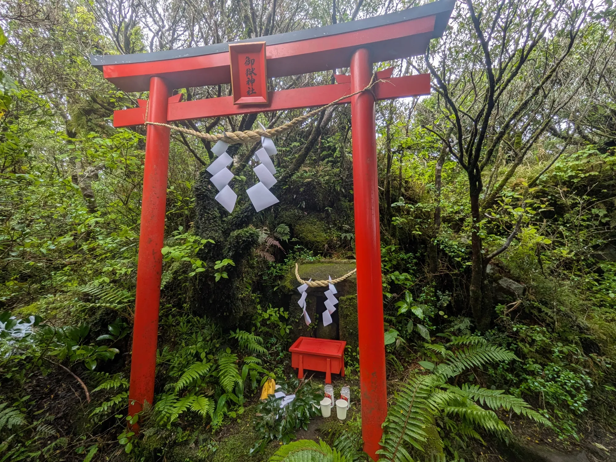 たむら鍼灸整骨院のイメージ