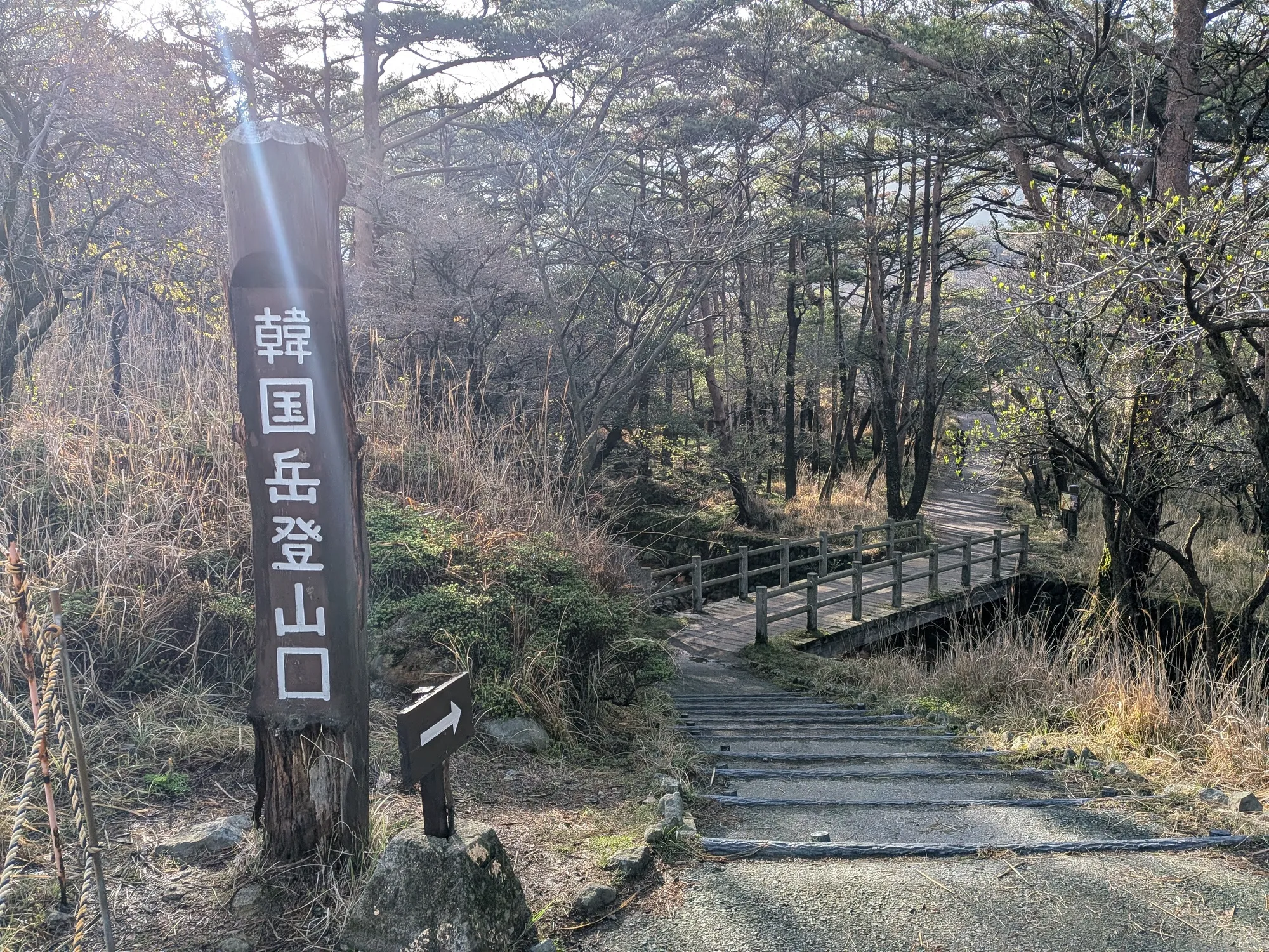 たむら鍼灸整骨院のイメージ