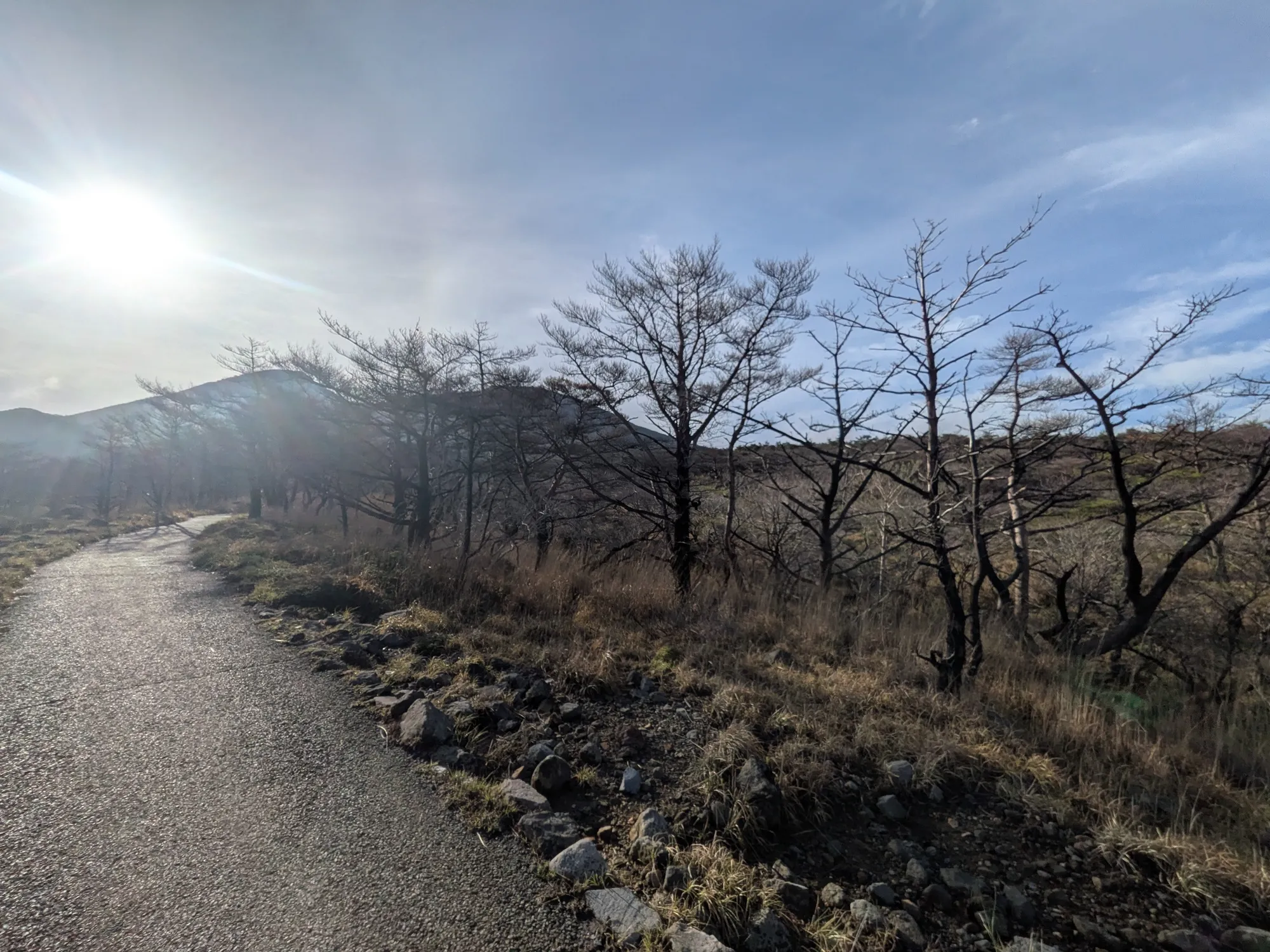 たむら鍼灸整骨院のイメージ