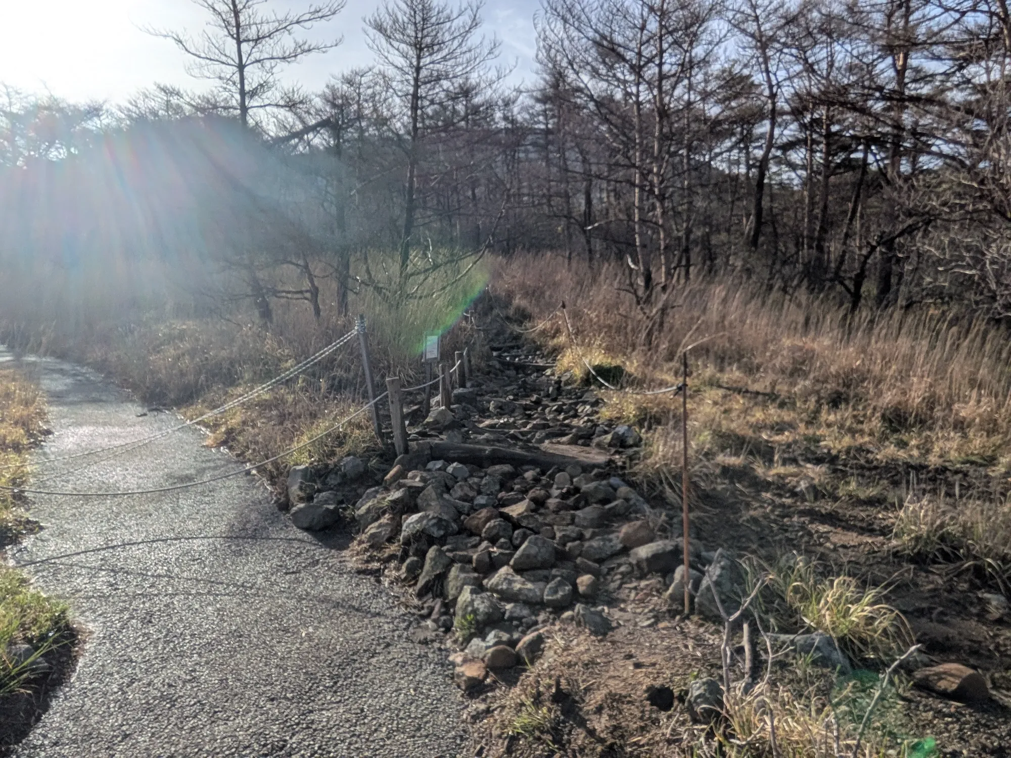 たむら鍼灸整骨院のイメージ