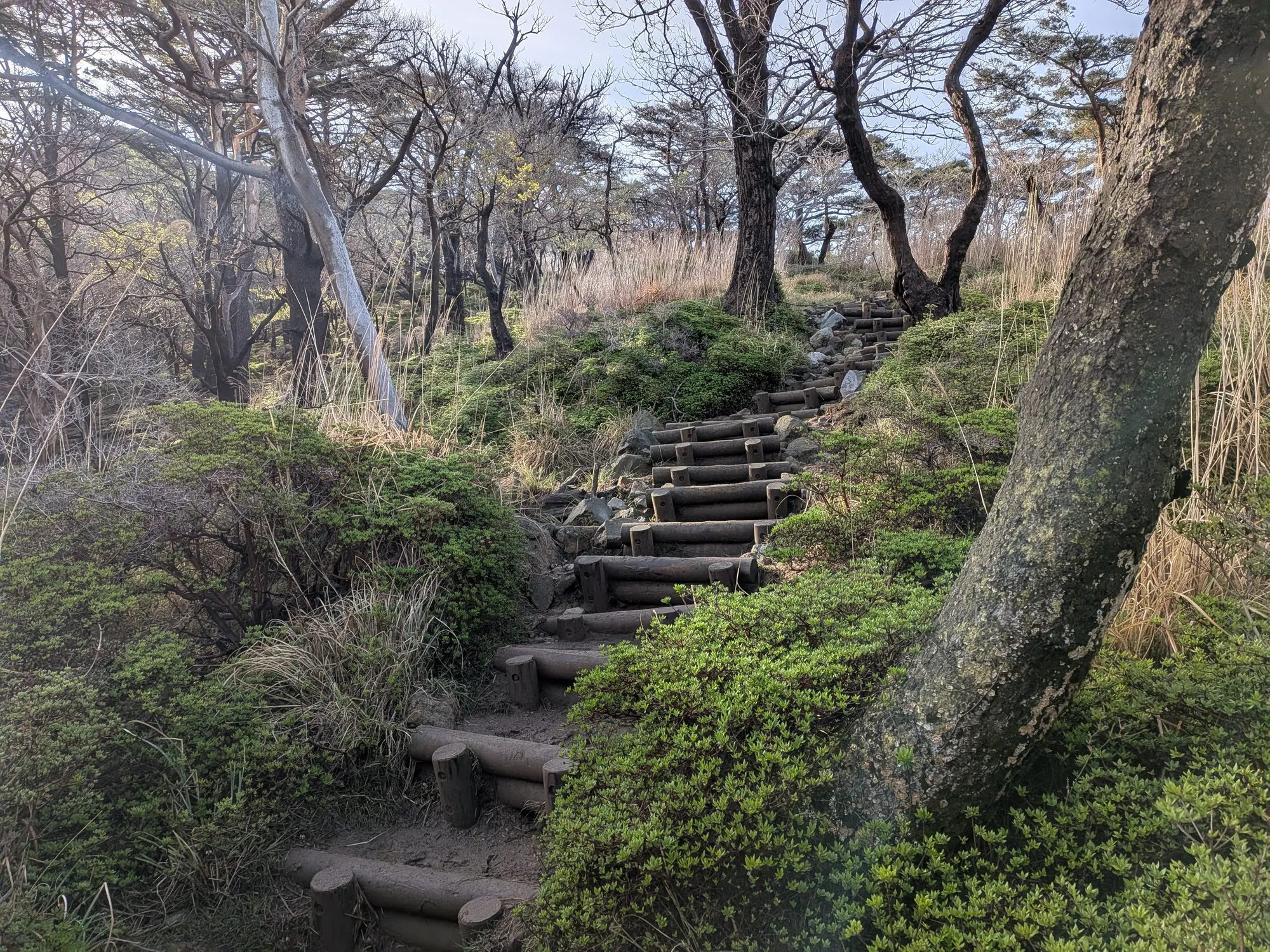 たむら鍼灸整骨院のイメージ