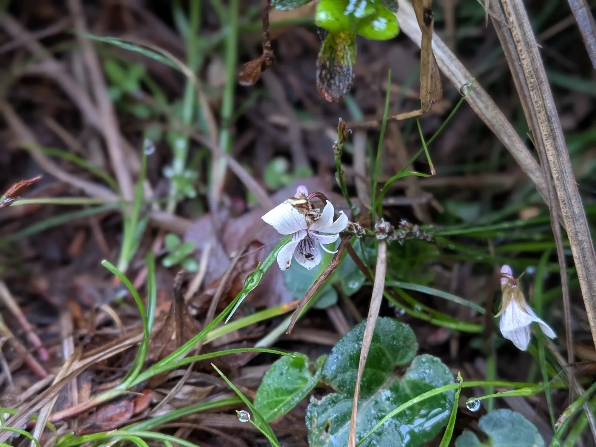 たむら鍼灸整骨院のイメージ
