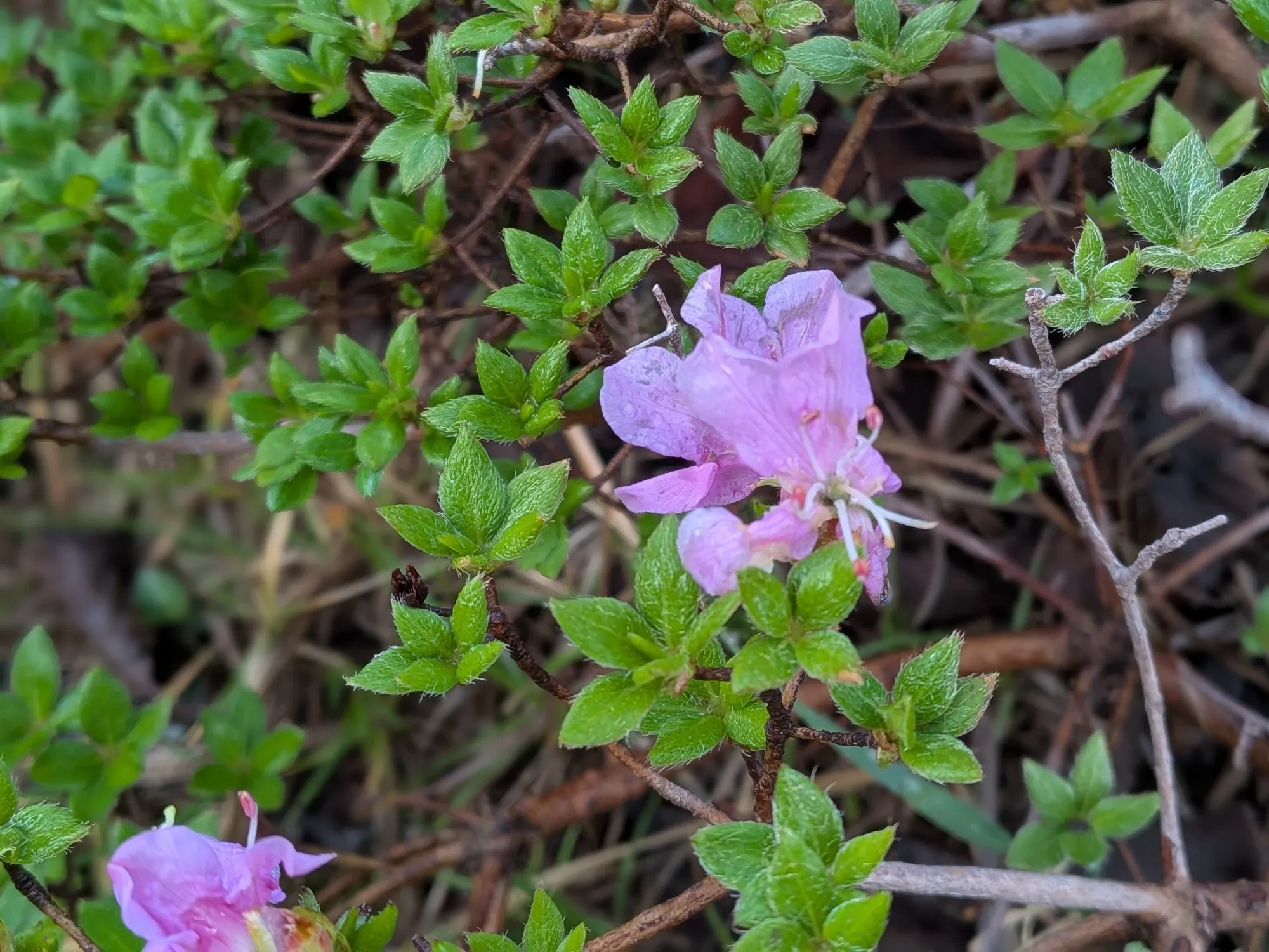 たむら鍼灸整骨院のイメージ