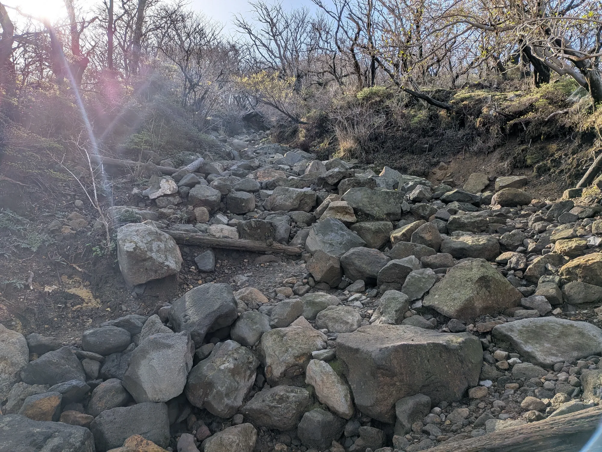 たむら鍼灸整骨院のイメージ