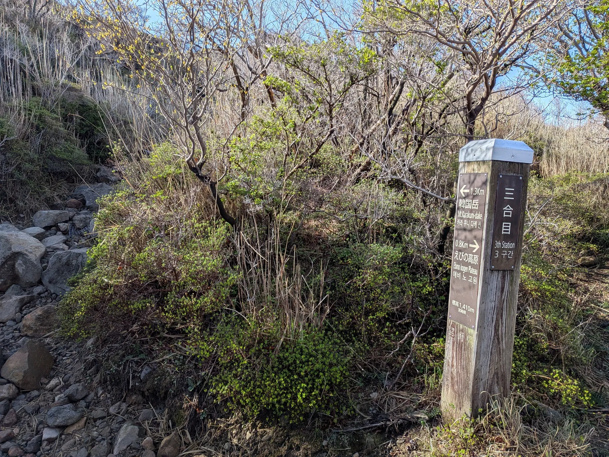 たむら鍼灸整骨院のイメージ