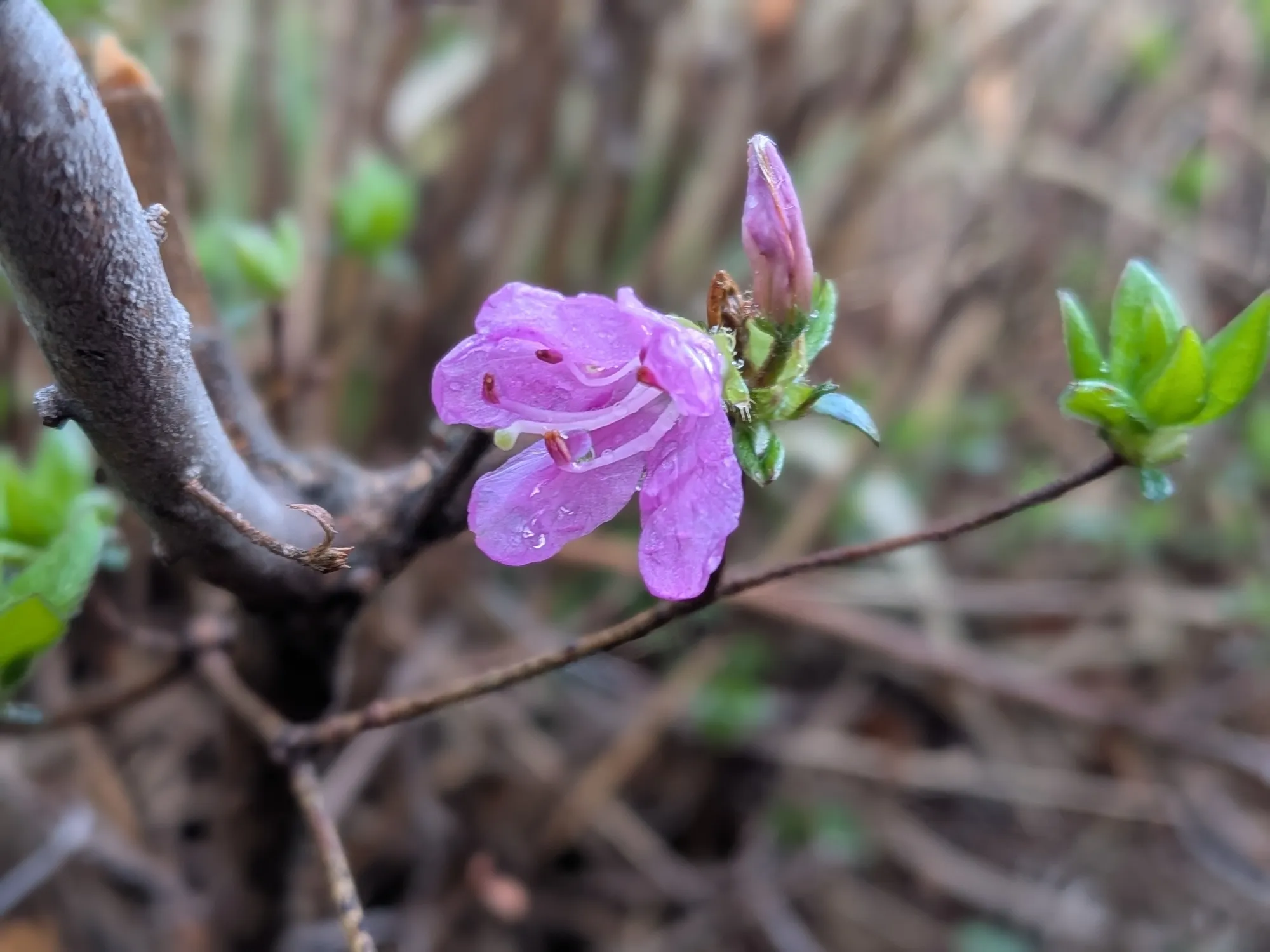 たむら鍼灸整骨院のイメージ