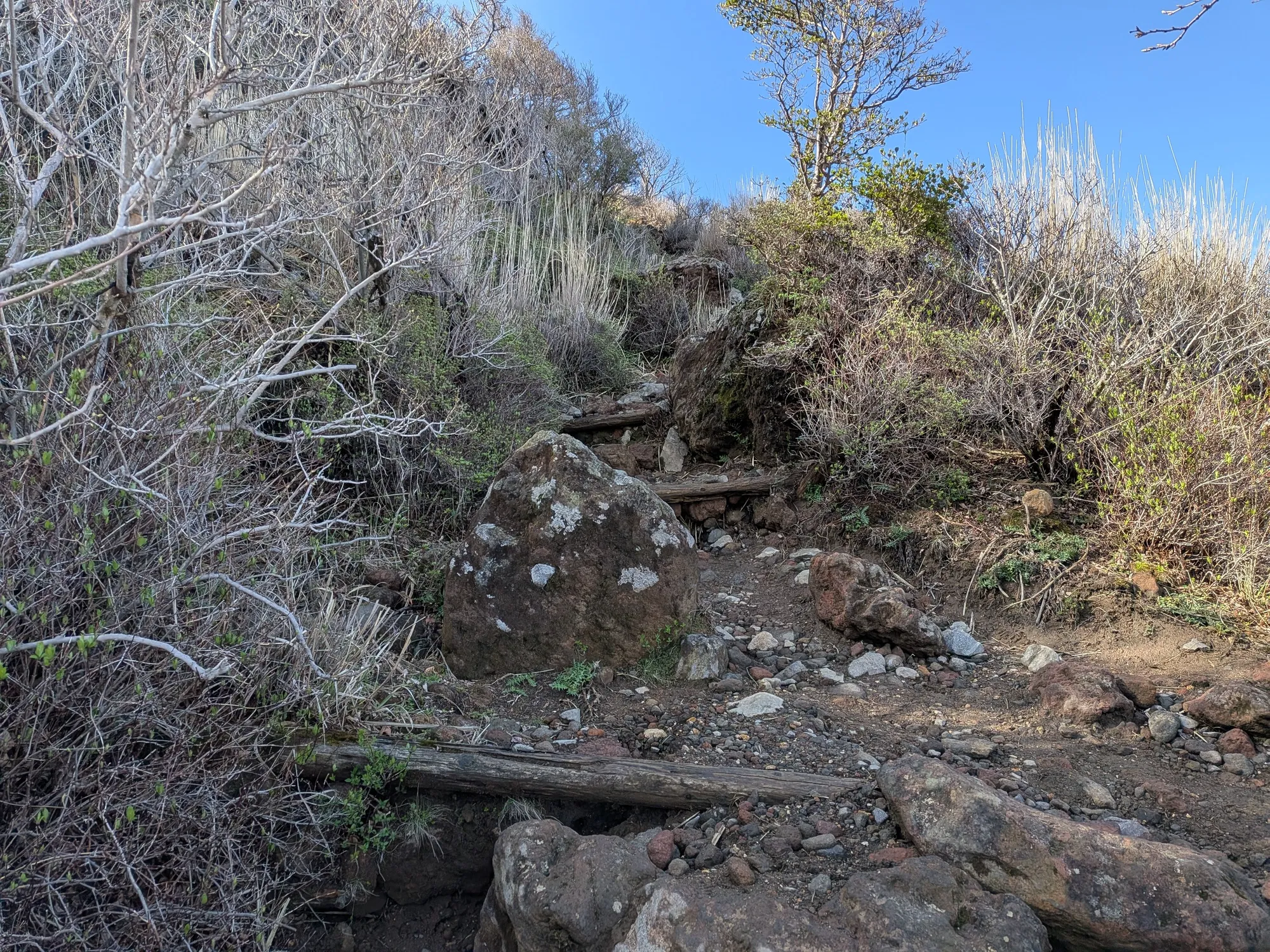 たむら鍼灸整骨院のイメージ