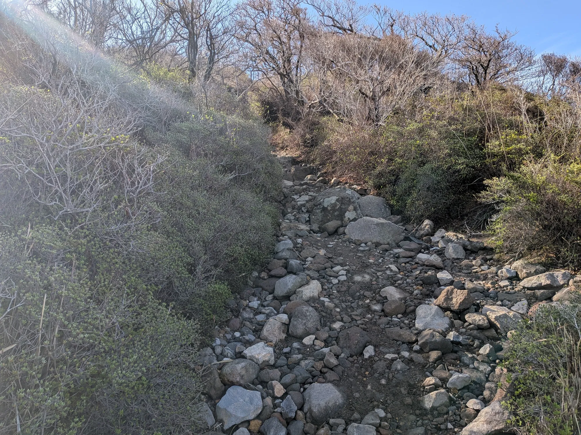 たむら鍼灸整骨院のイメージ