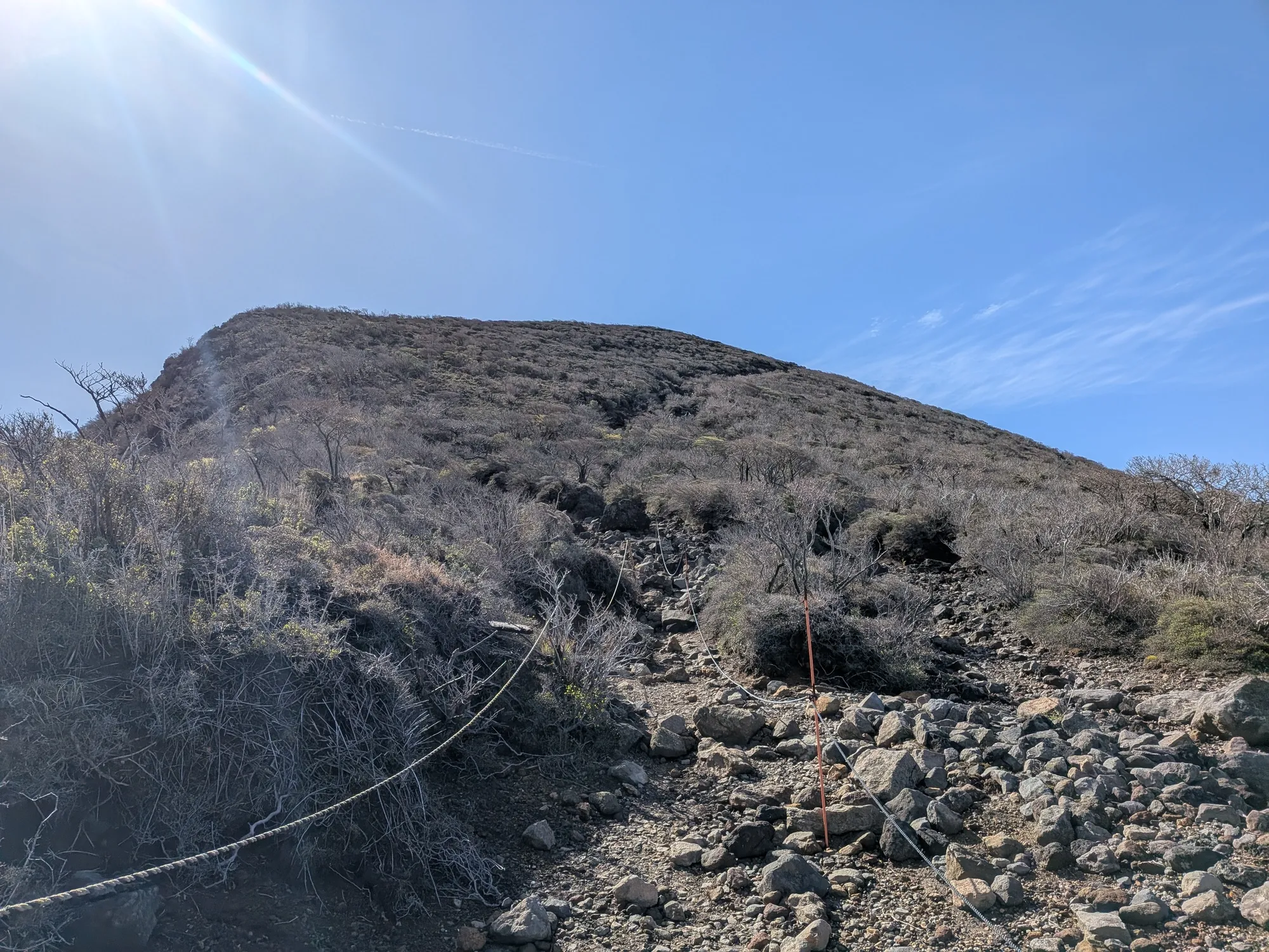 たむら鍼灸整骨院のイメージ