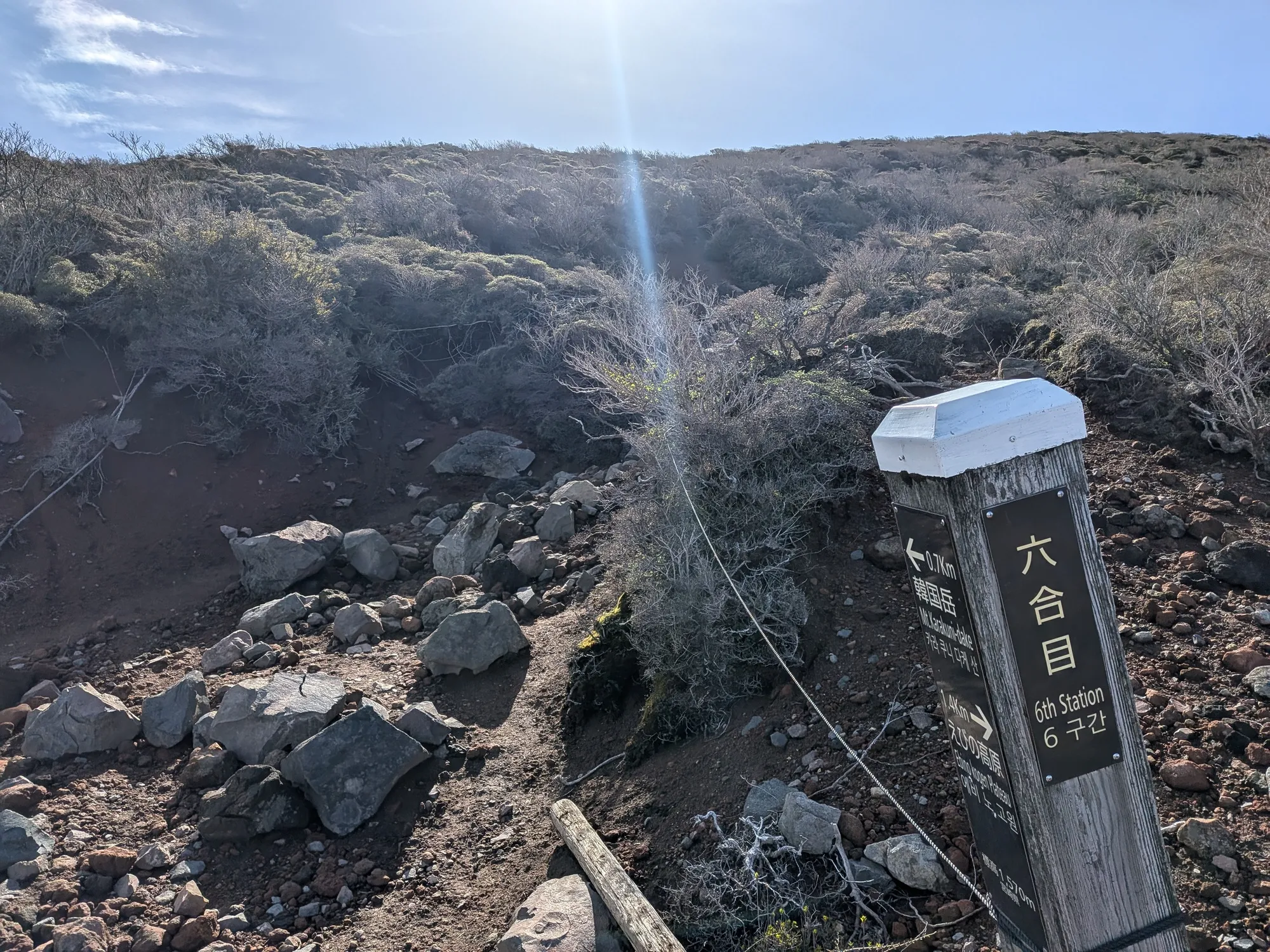 たむら鍼灸整骨院のイメージ