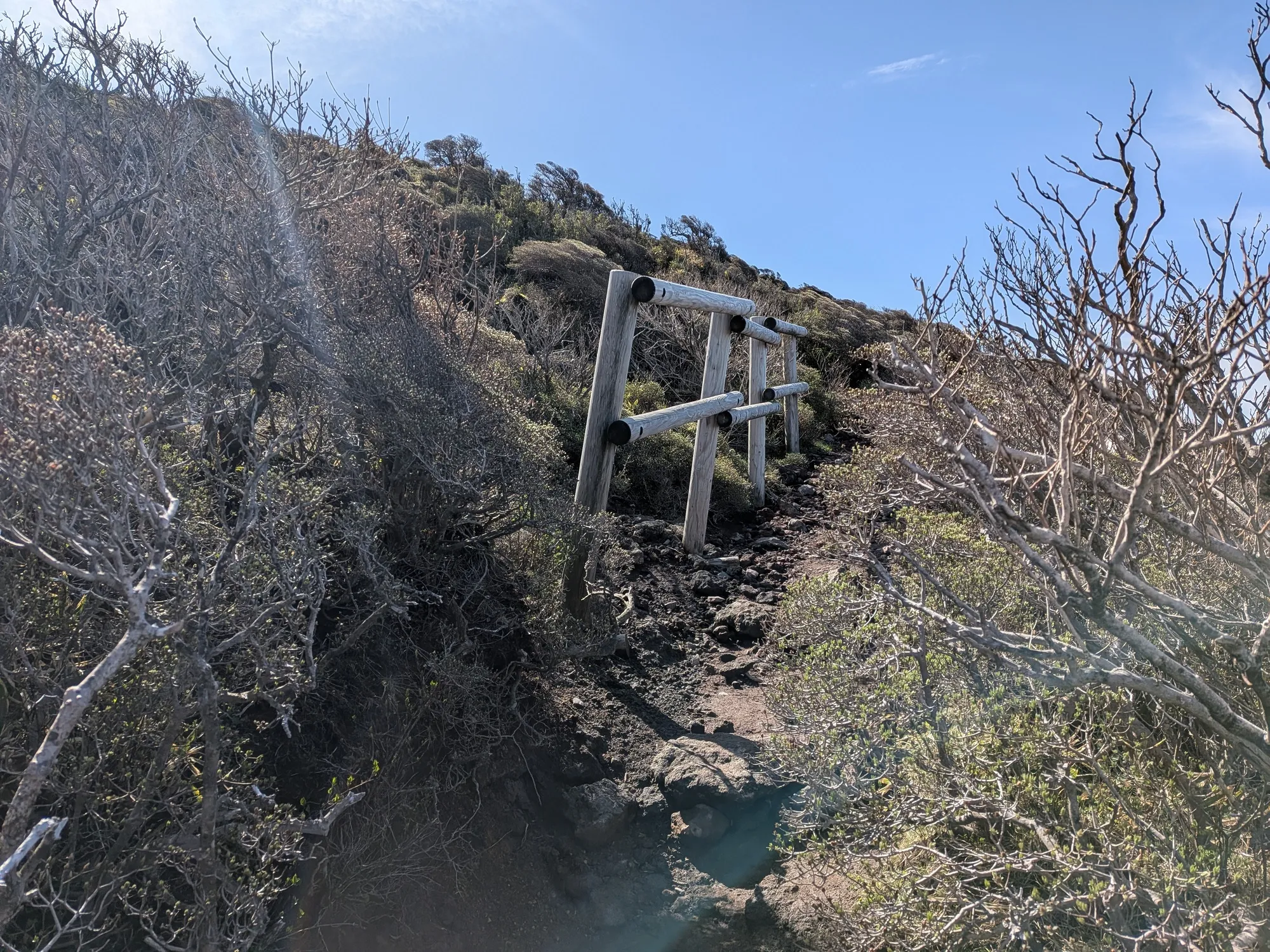 たむら鍼灸整骨院のイメージ