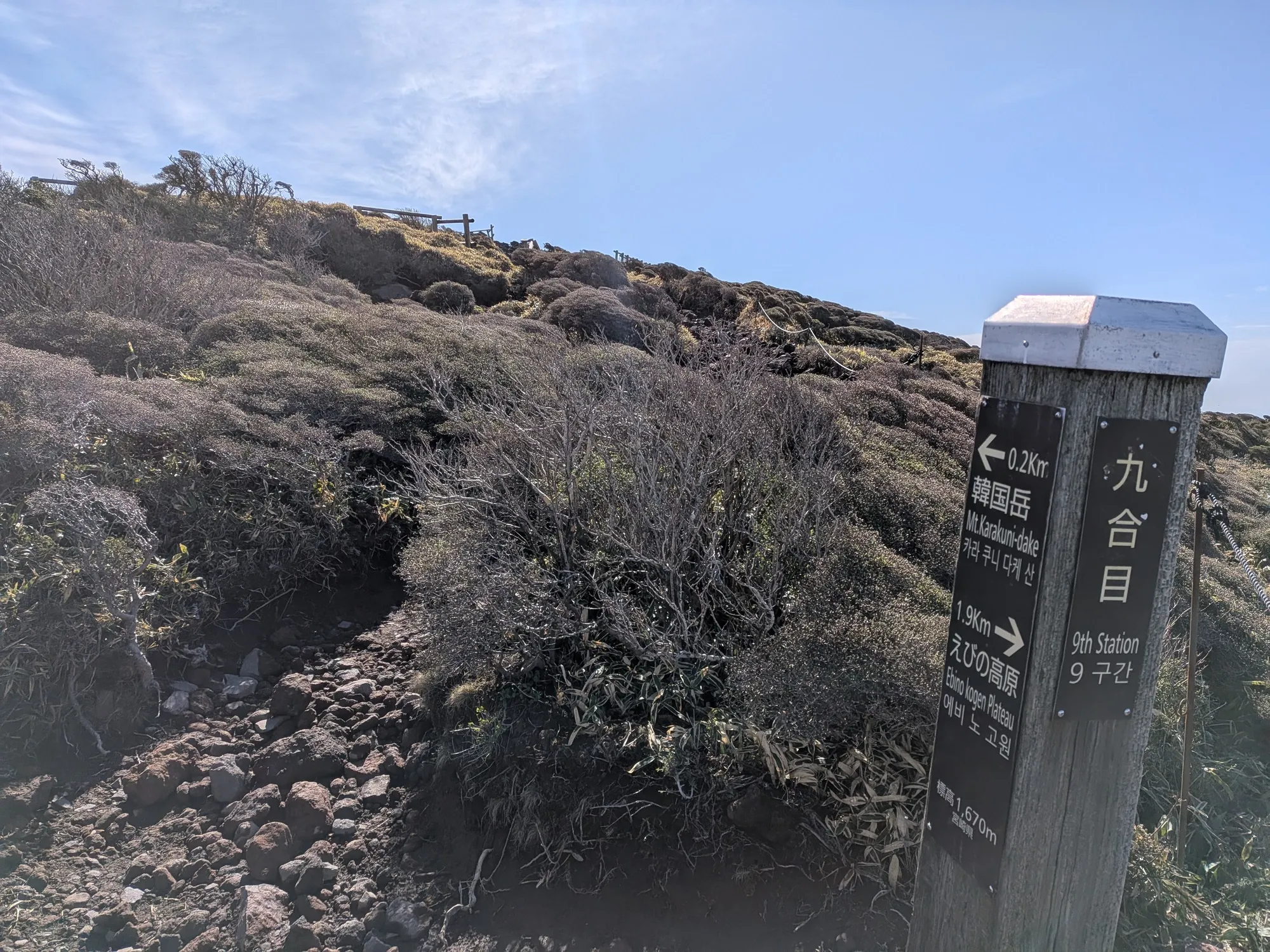 たむら鍼灸整骨院のイメージ