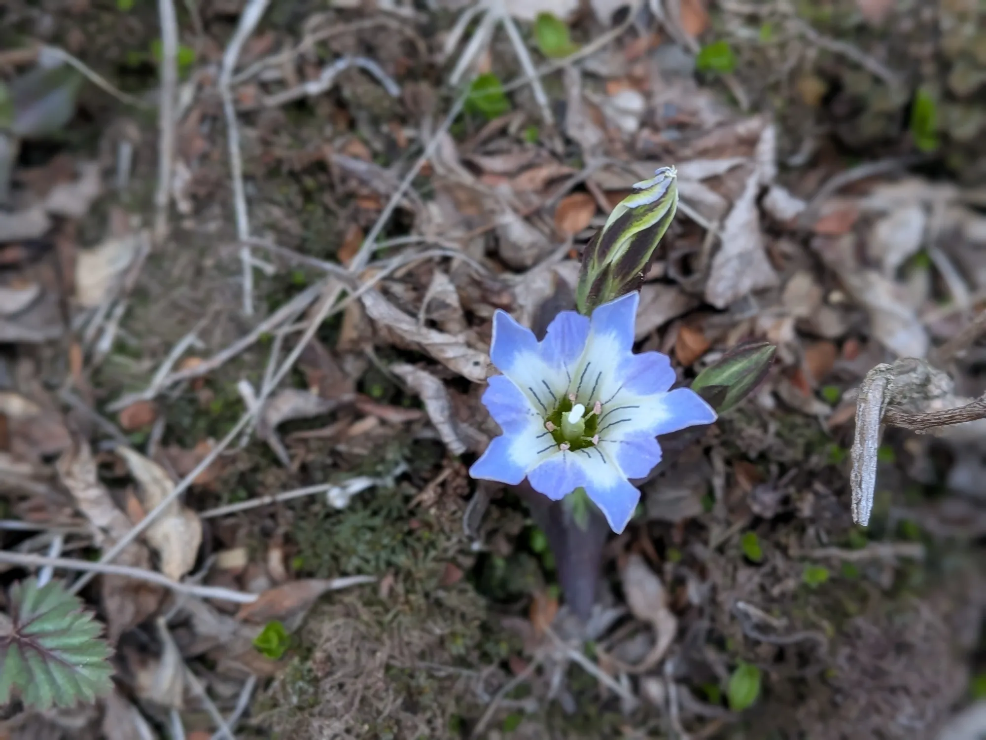 たむら鍼灸整骨院のイメージ