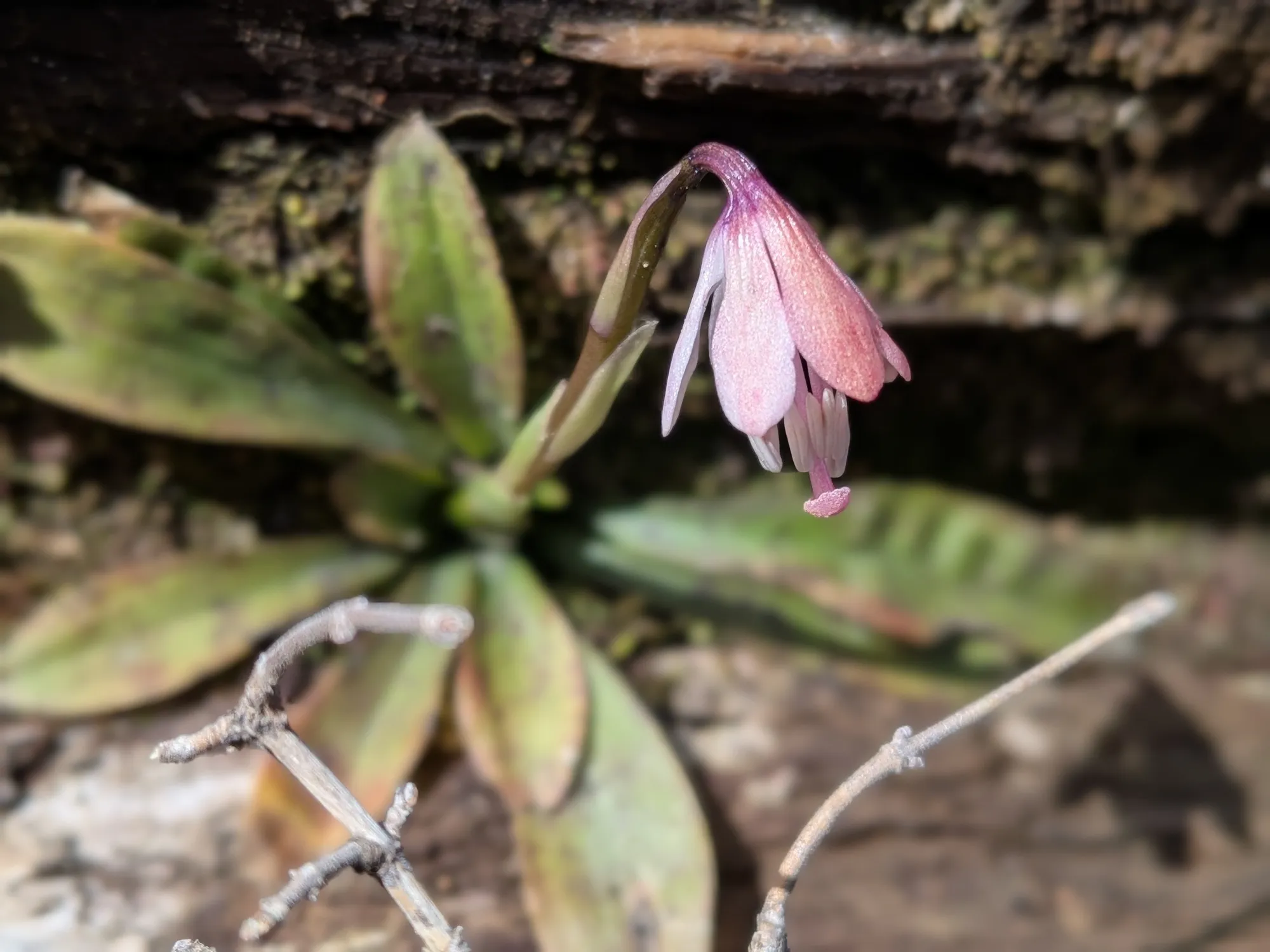 たむら鍼灸整骨院のイメージ