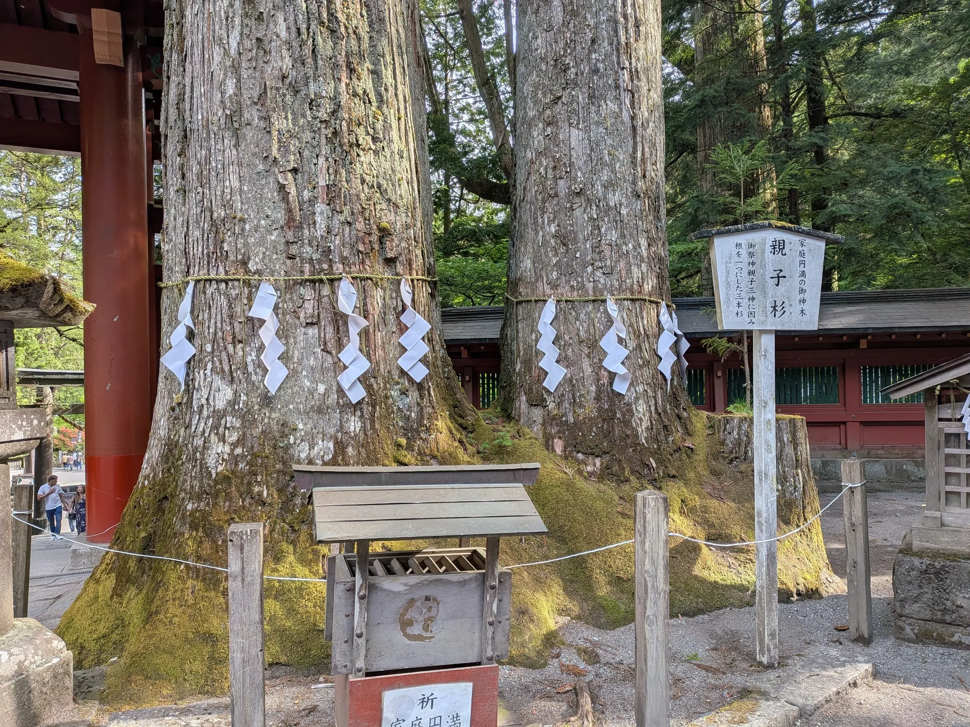 たむら鍼灸整骨院のイメージ