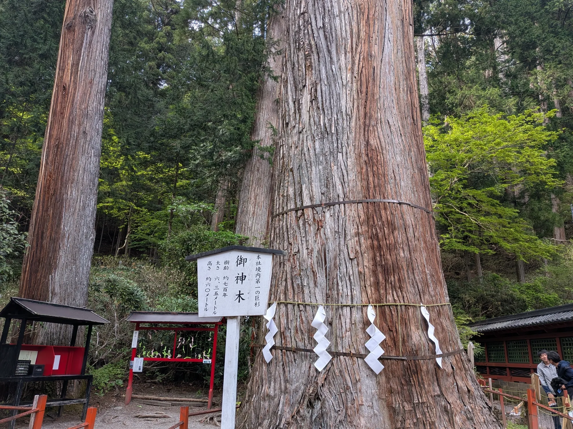 たむら鍼灸整骨院のイメージ