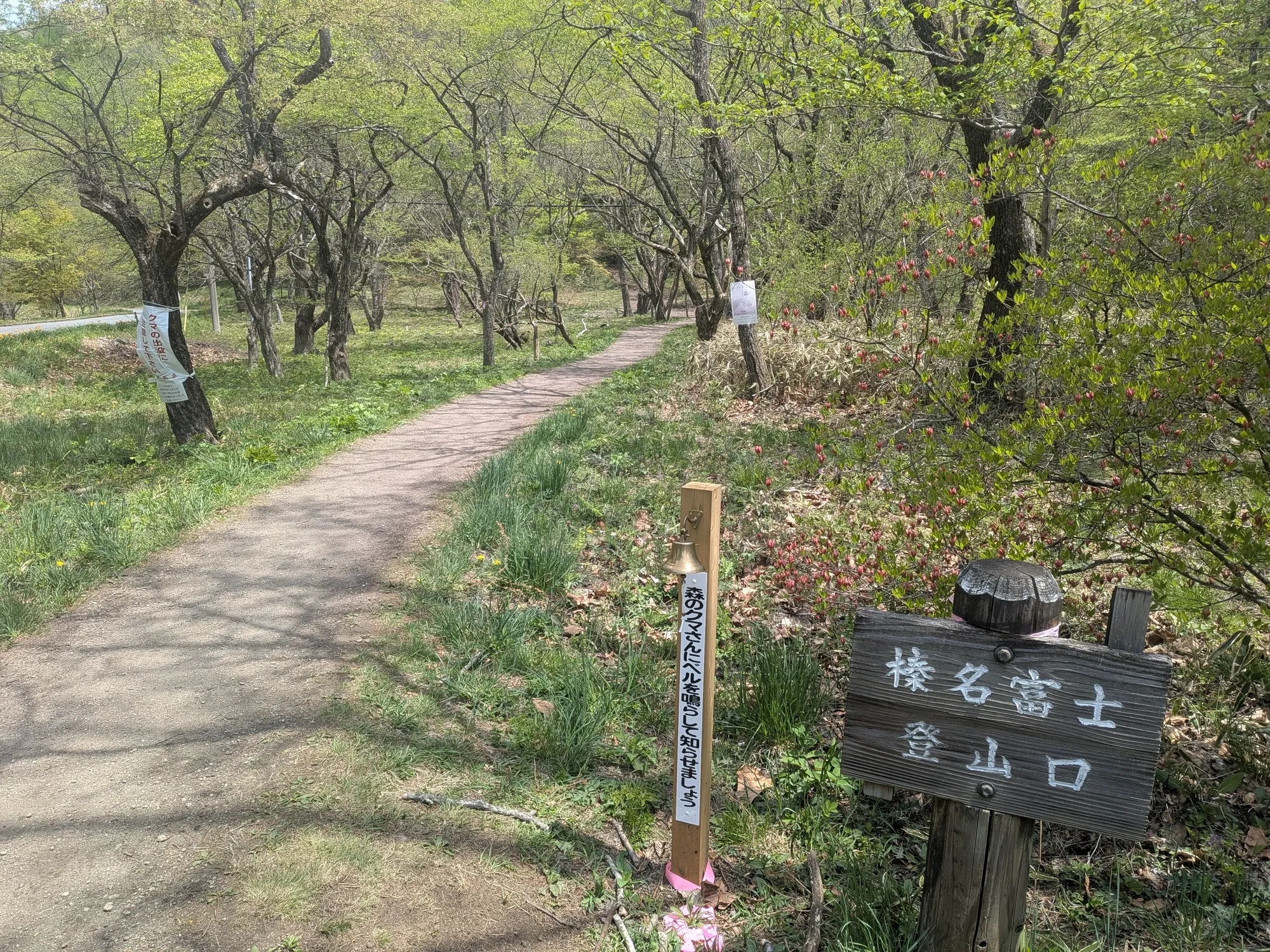 たむら鍼灸整骨院のイメージ
