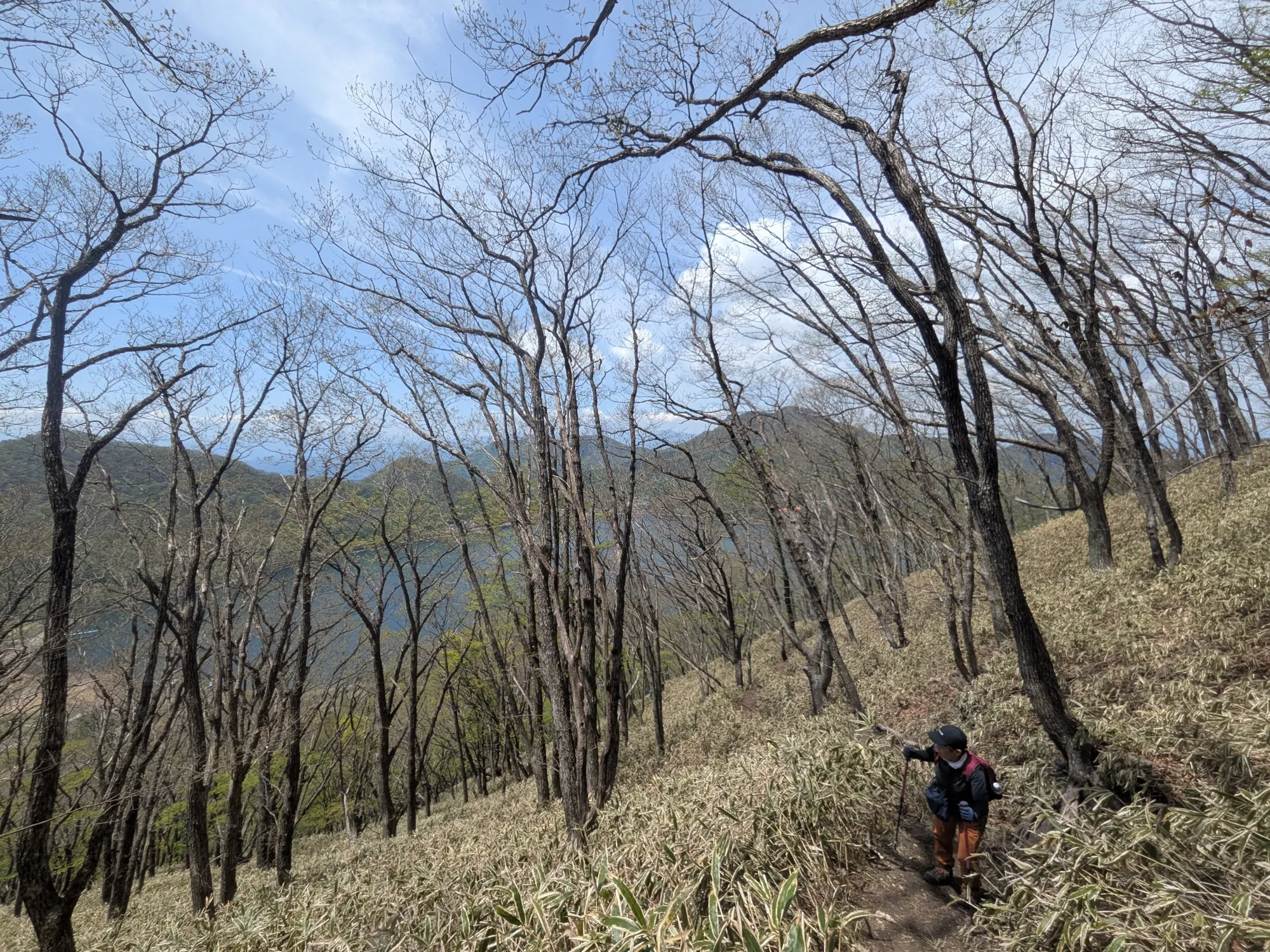 たむら鍼灸整骨院のイメージ