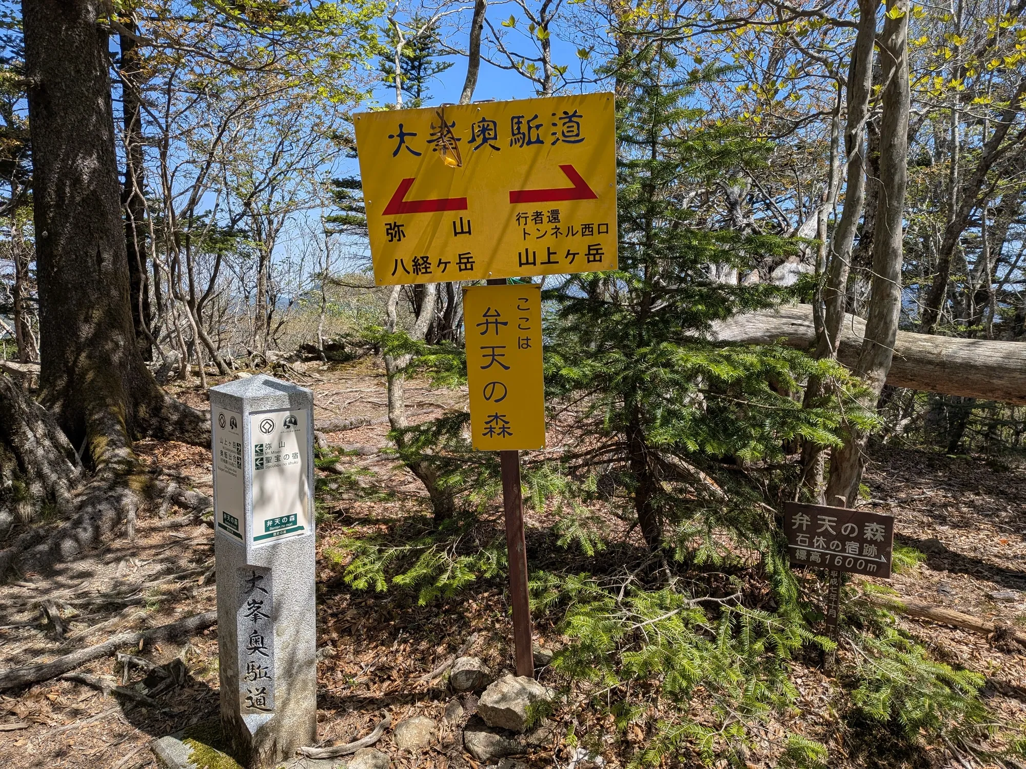 たむら鍼灸整骨院のイメージ