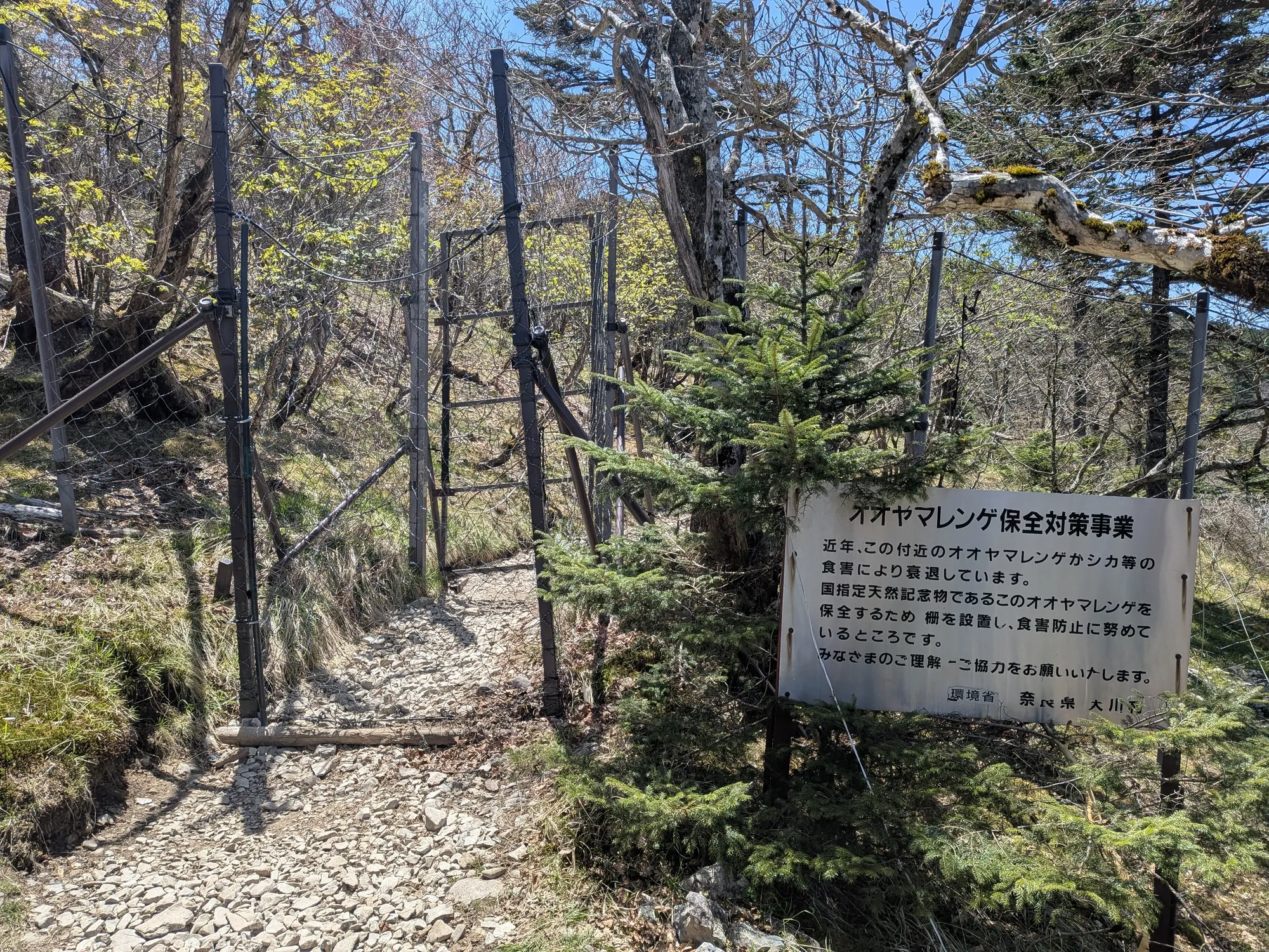 たむら鍼灸整骨院のイメージ