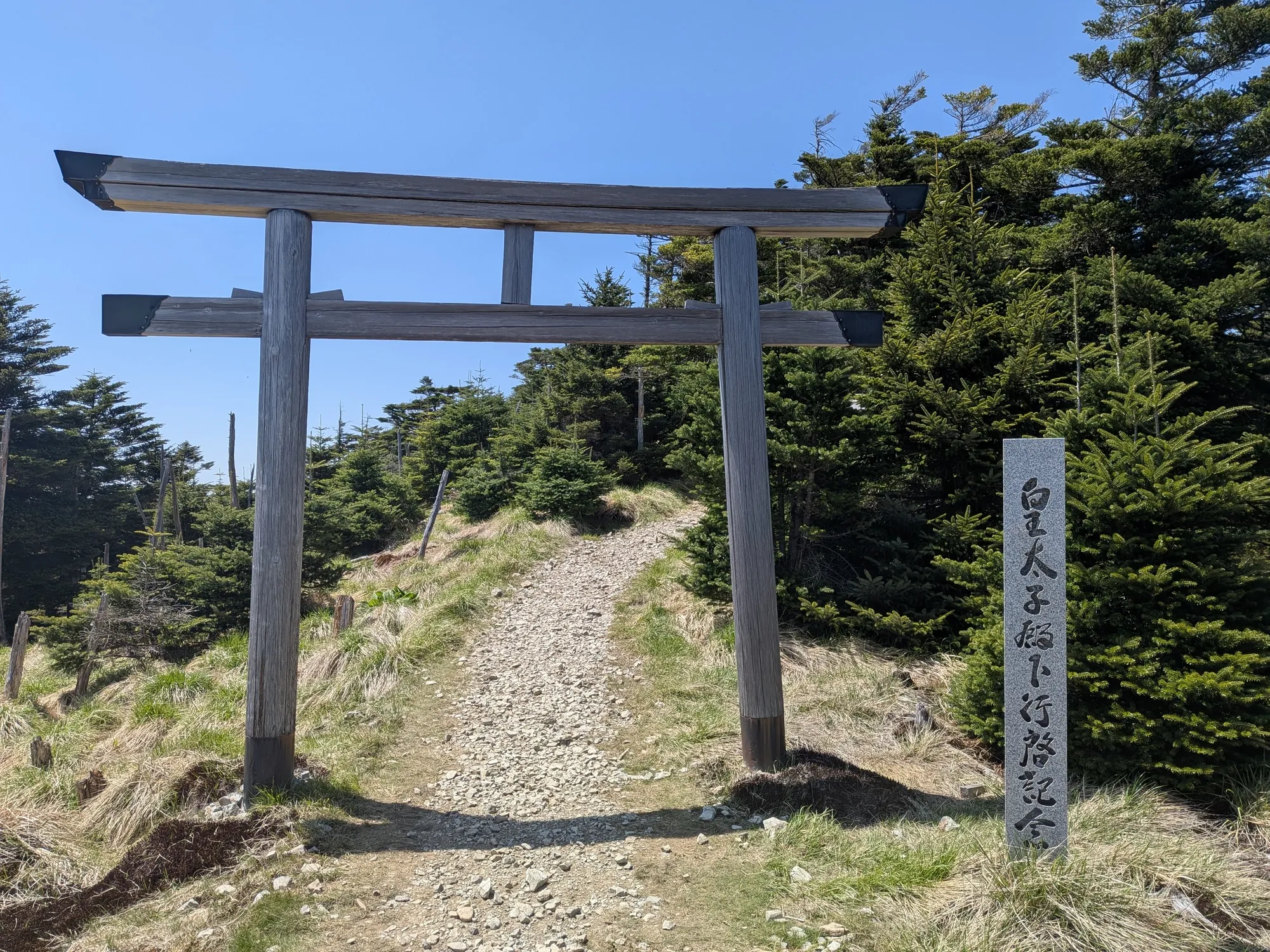 たむら鍼灸整骨院のイメージ