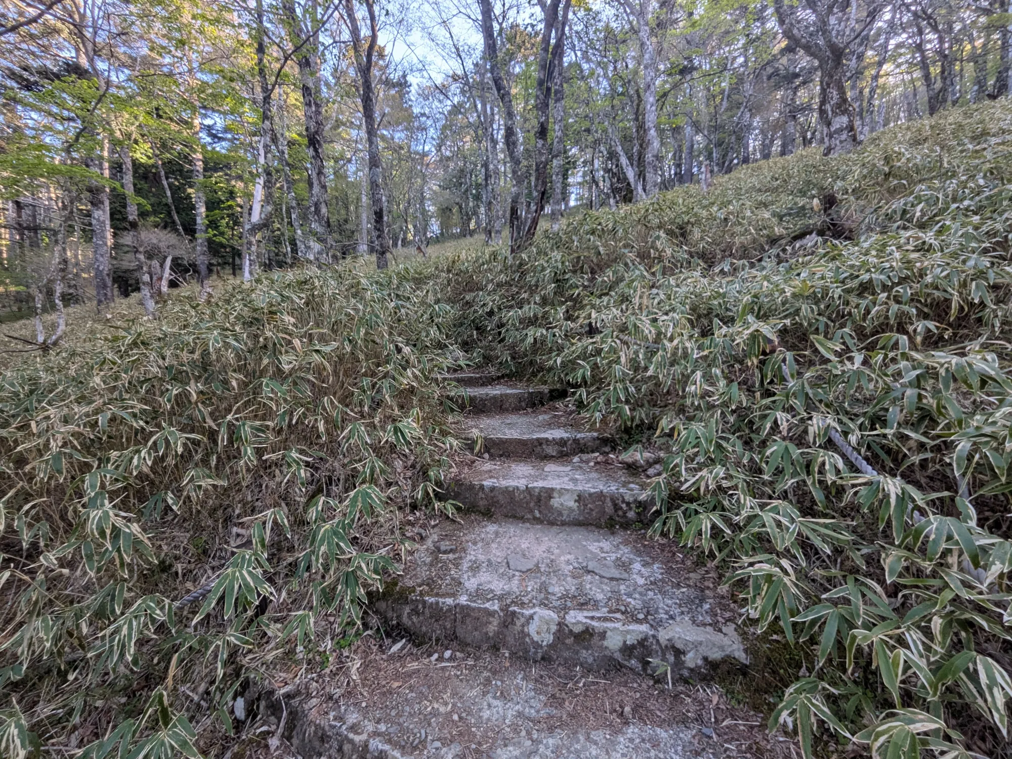 たむら鍼灸整骨院のイメージ