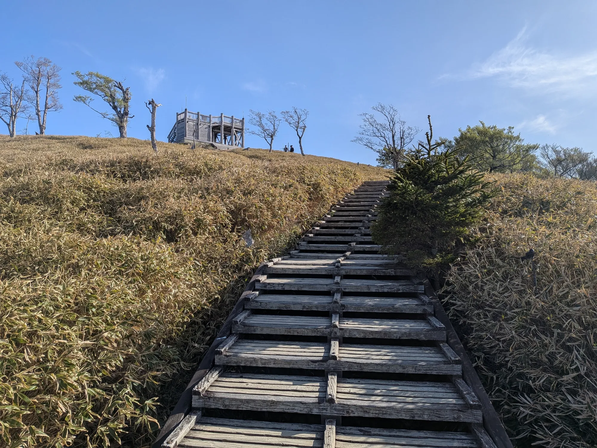 たむら鍼灸整骨院のイメージ