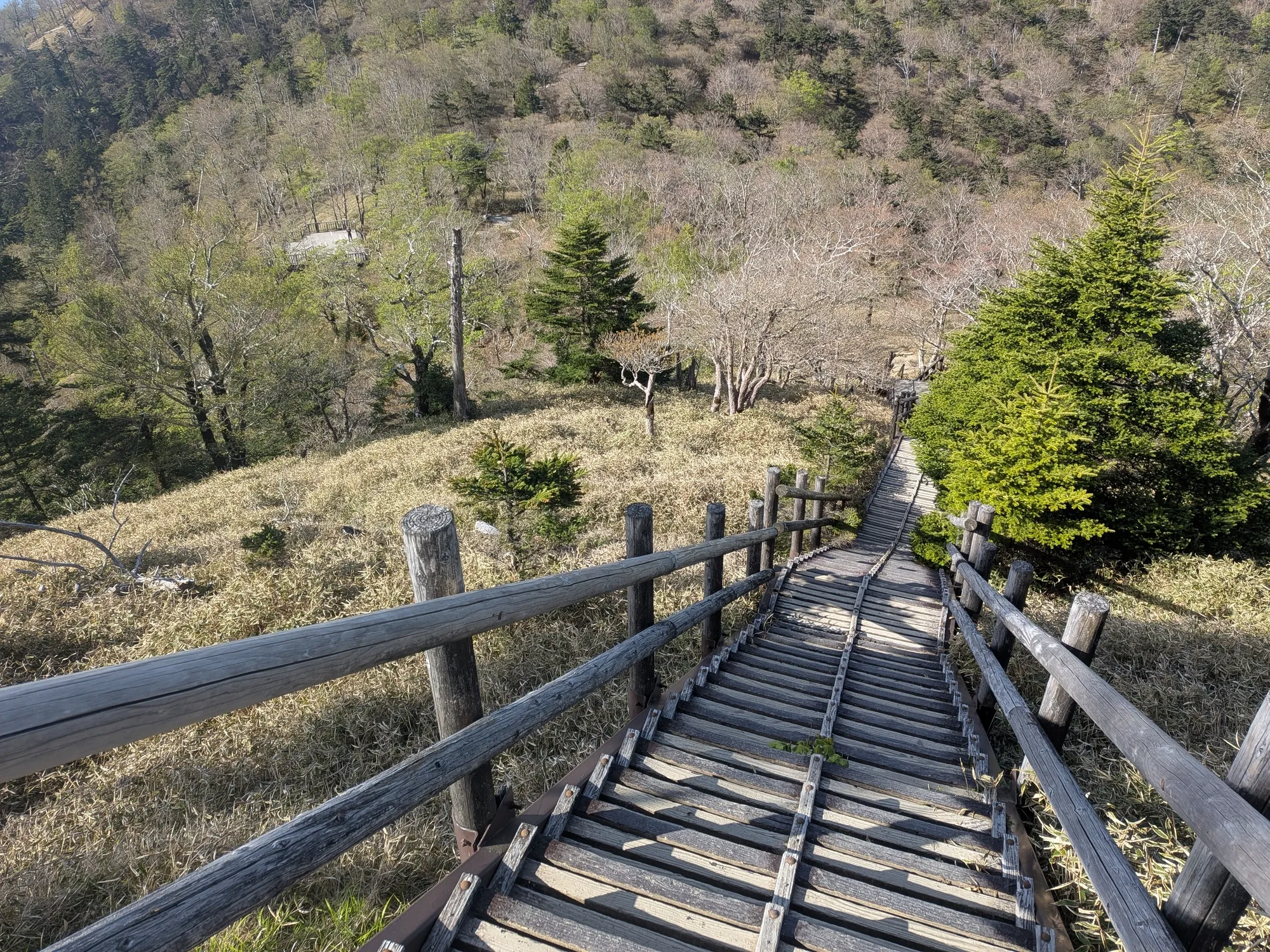 たむら鍼灸整骨院のイメージ