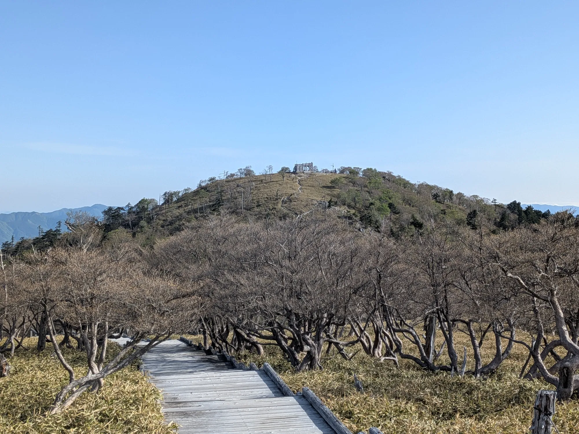 たむら鍼灸整骨院のイメージ