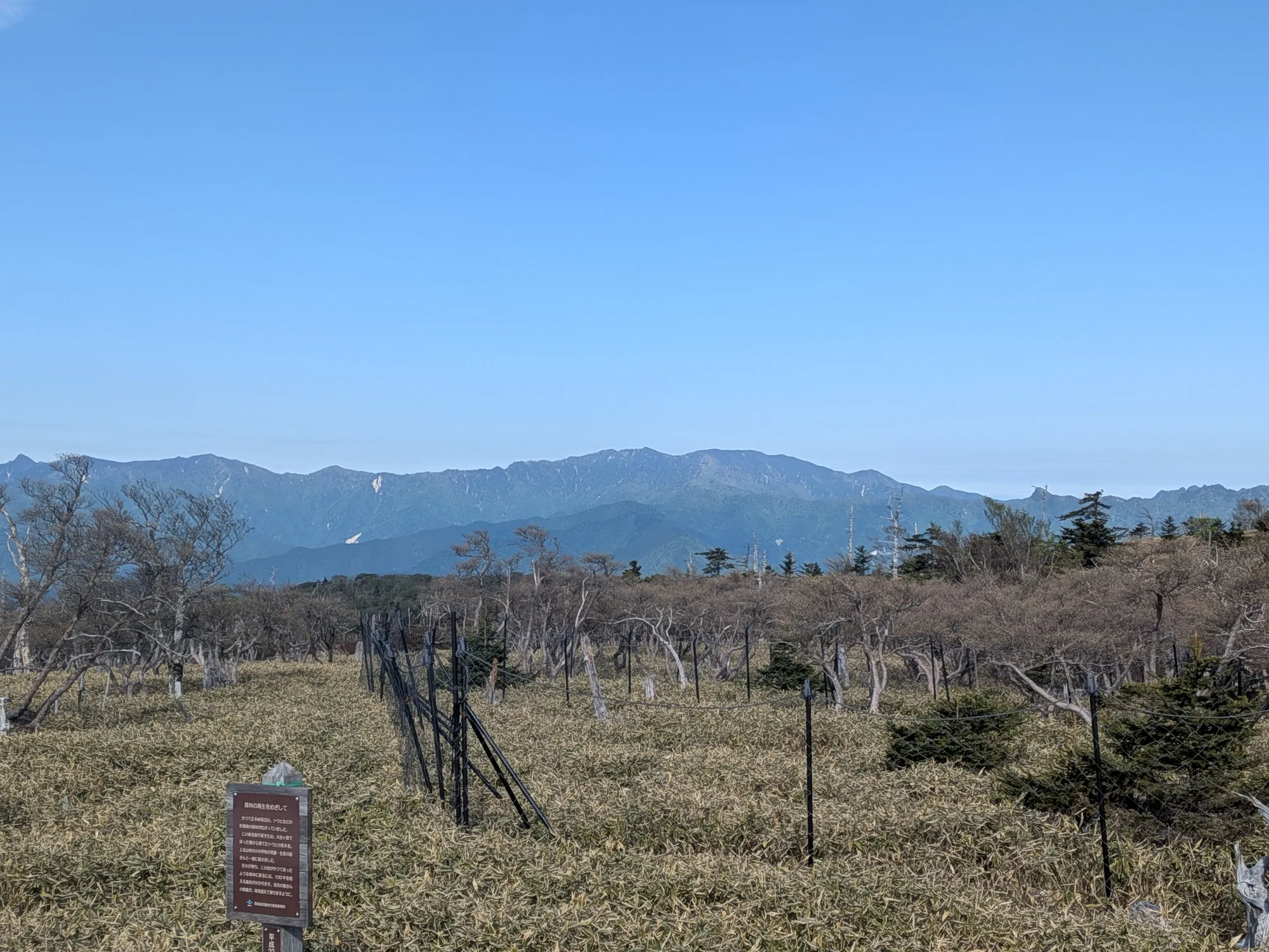 たむら鍼灸整骨院のイメージ