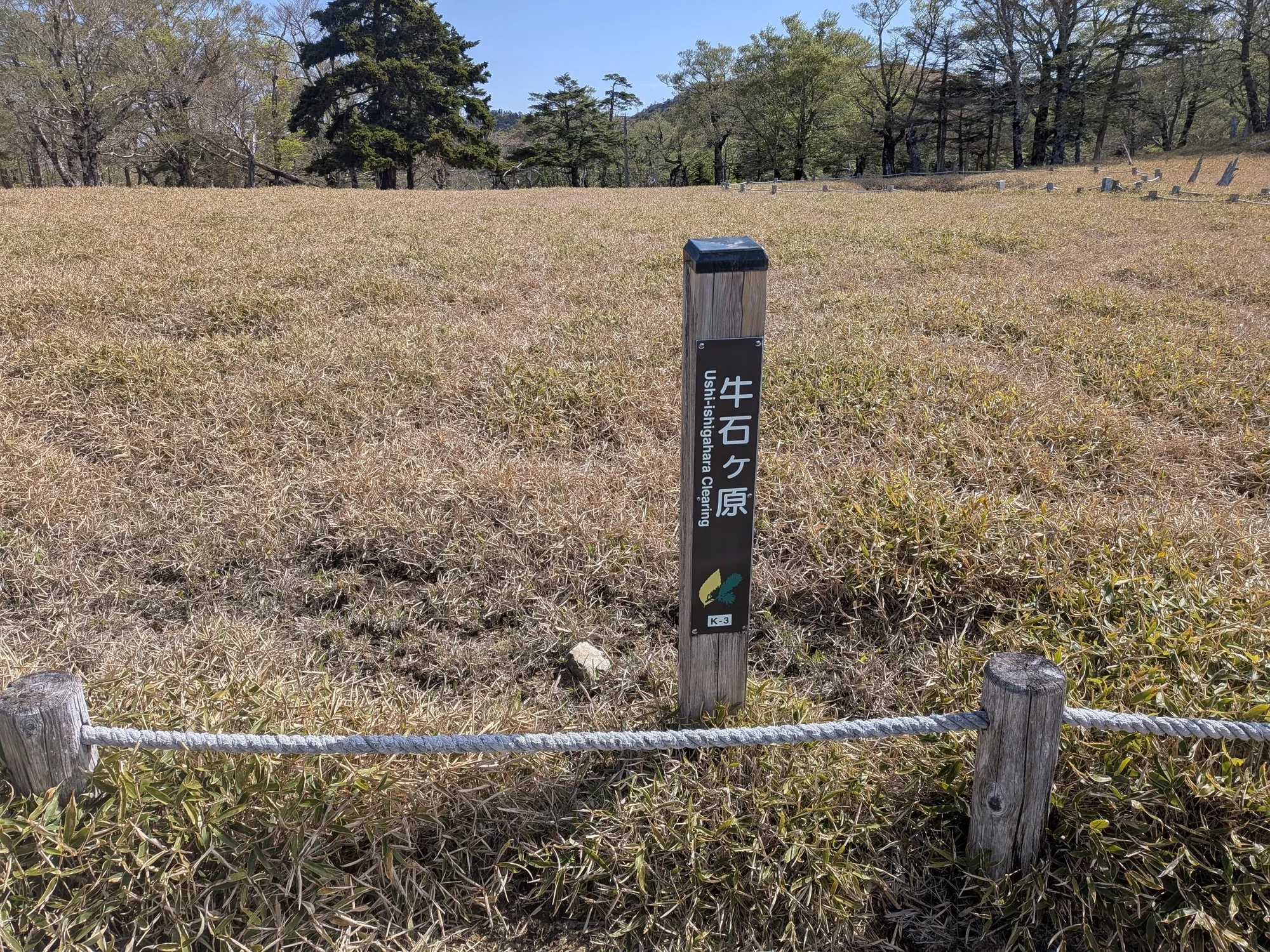 たむら鍼灸整骨院のイメージ