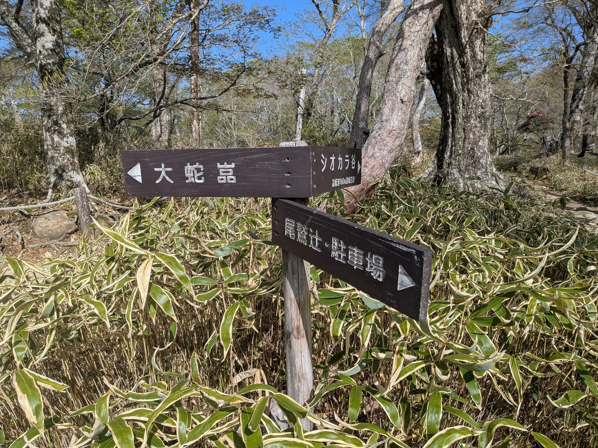 たむら鍼灸整骨院のイメージ