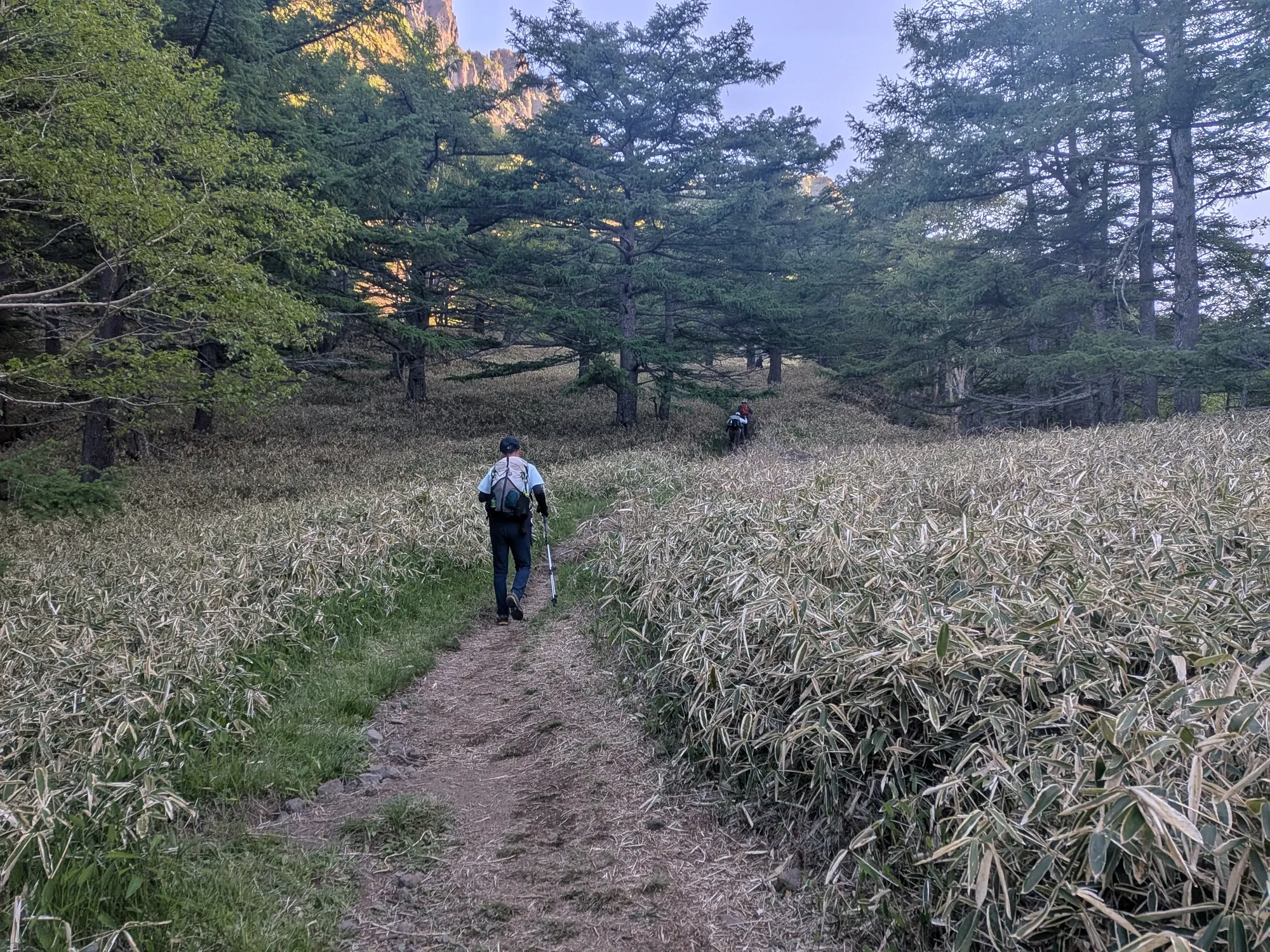 たむら鍼灸整骨院のイメージ