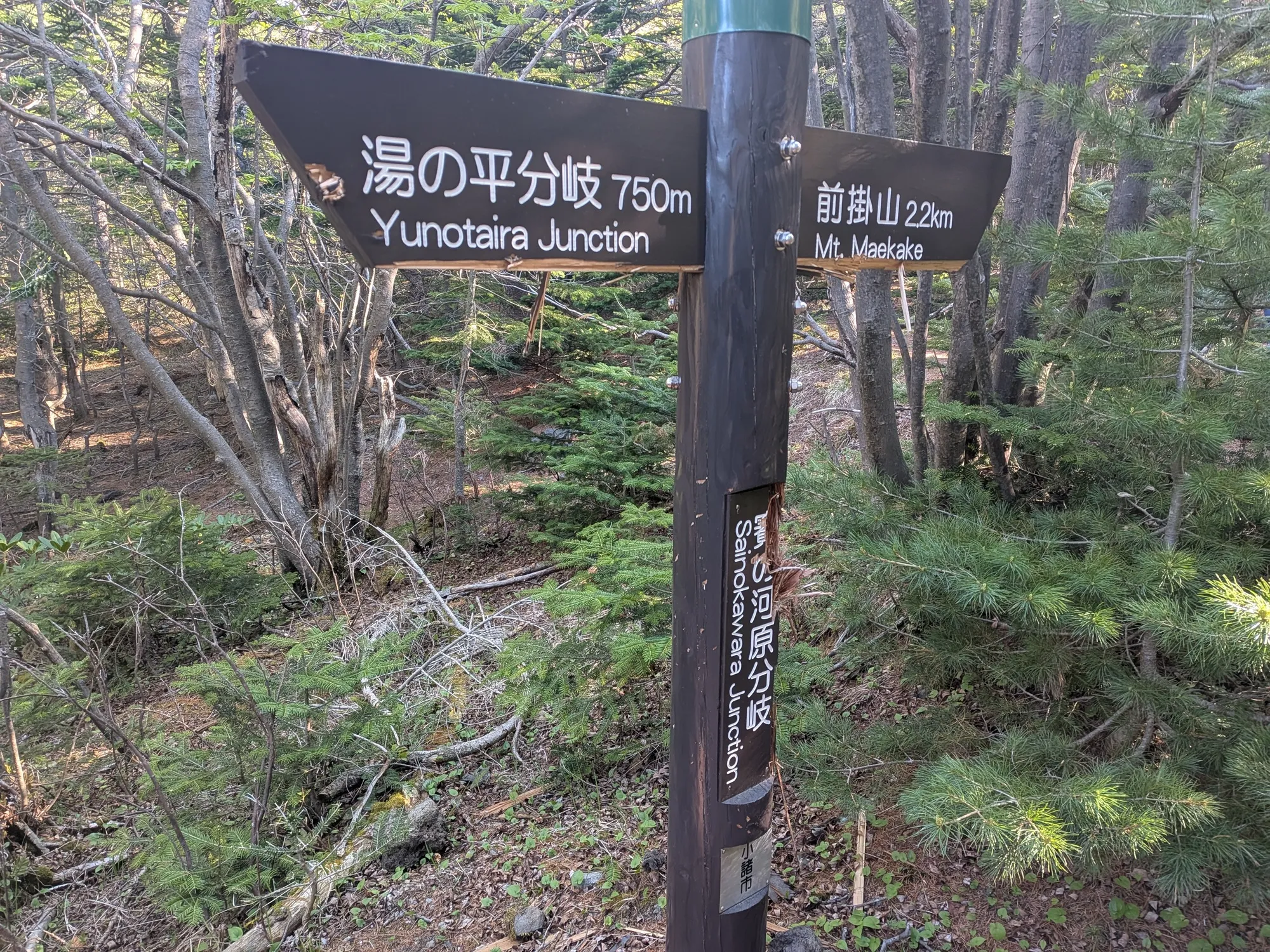 たむら鍼灸整骨院のイメージ