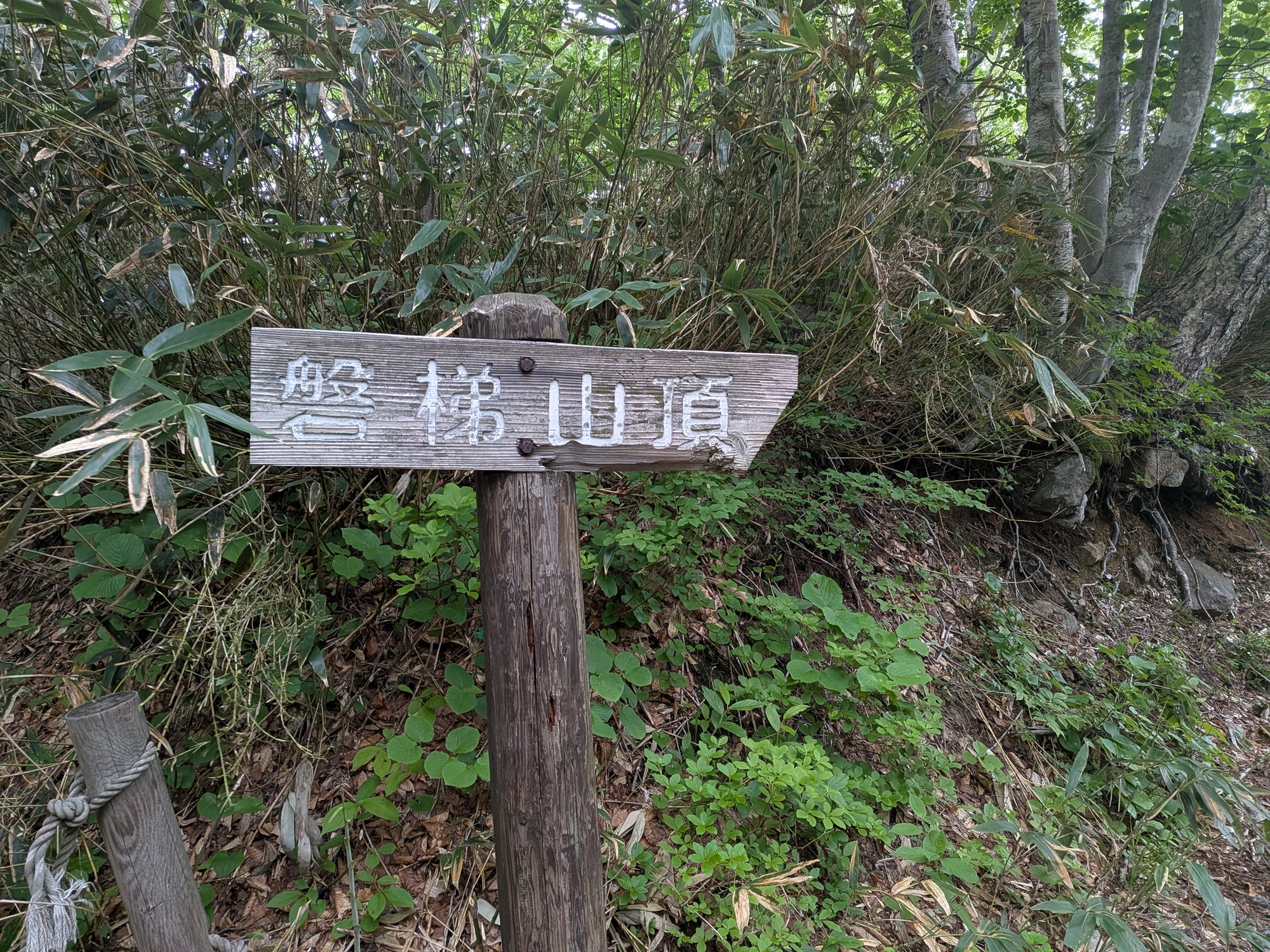 たむら鍼灸整骨院のイメージ
