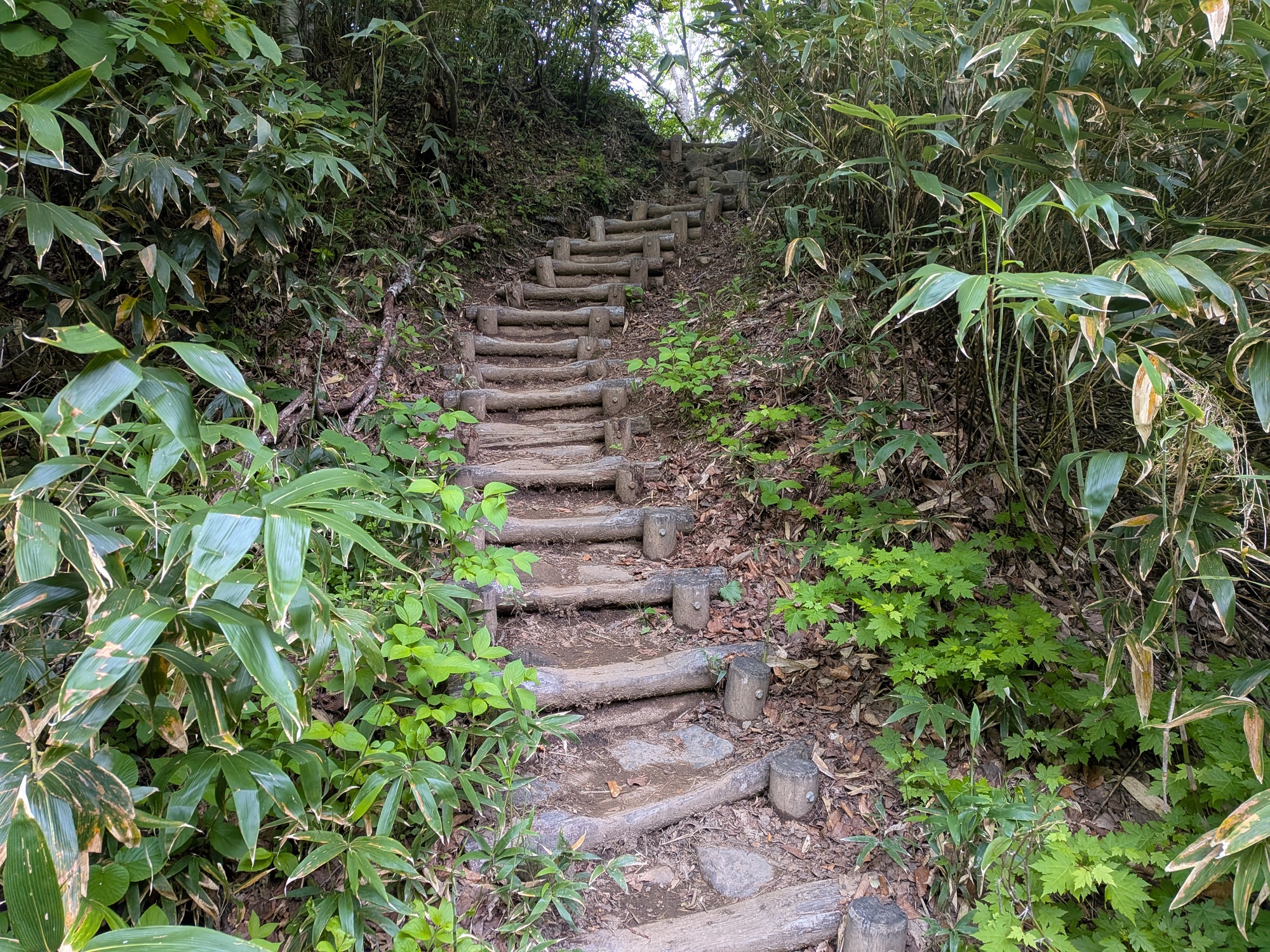 たむら鍼灸整骨院のイメージ