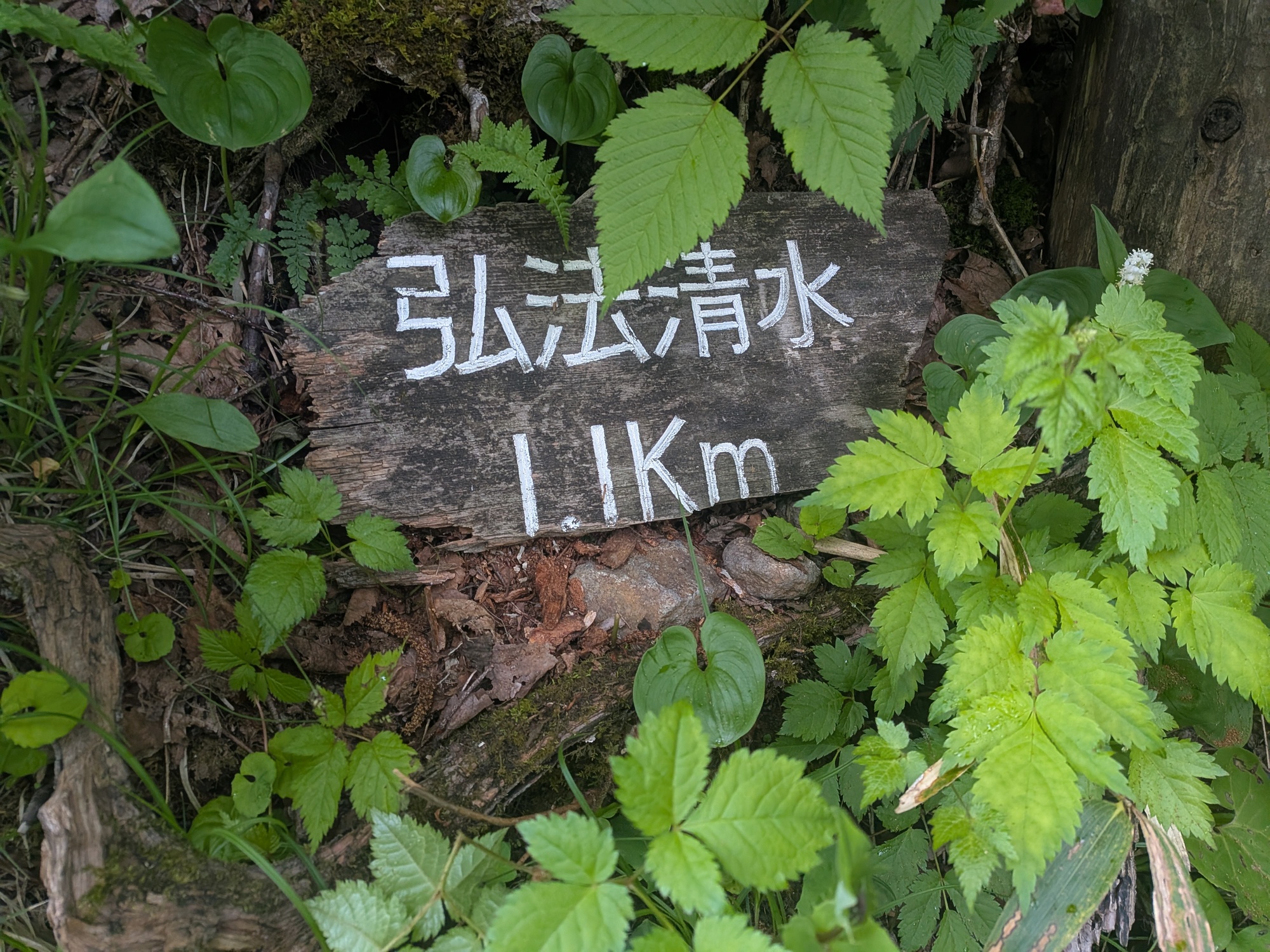たむら鍼灸整骨院のイメージ