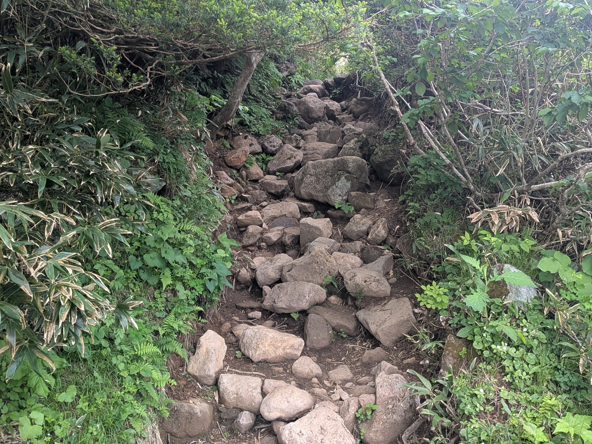 たむら鍼灸整骨院のイメージ
