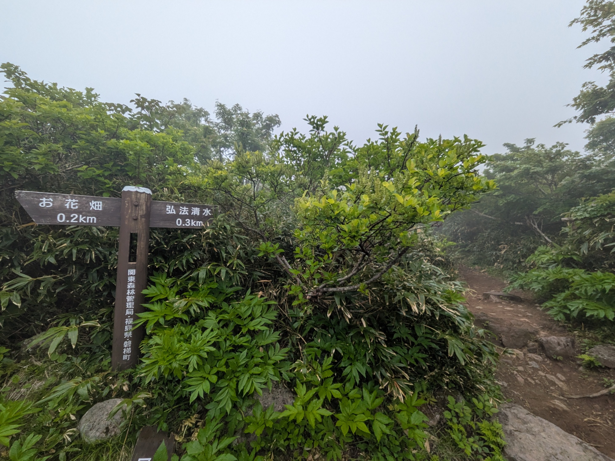 たむら鍼灸整骨院のイメージ
