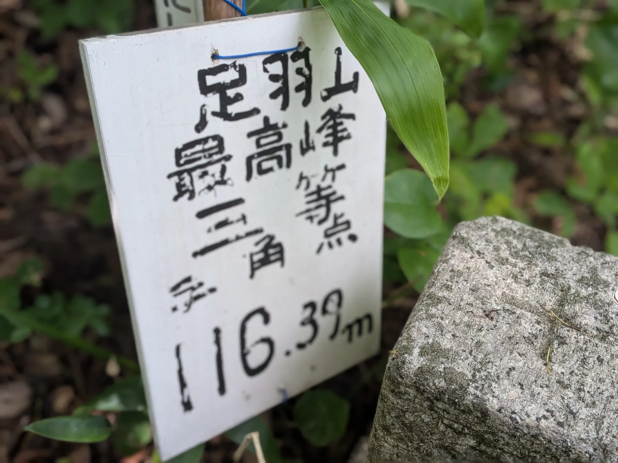 たむら鍼灸整骨院のイメージ