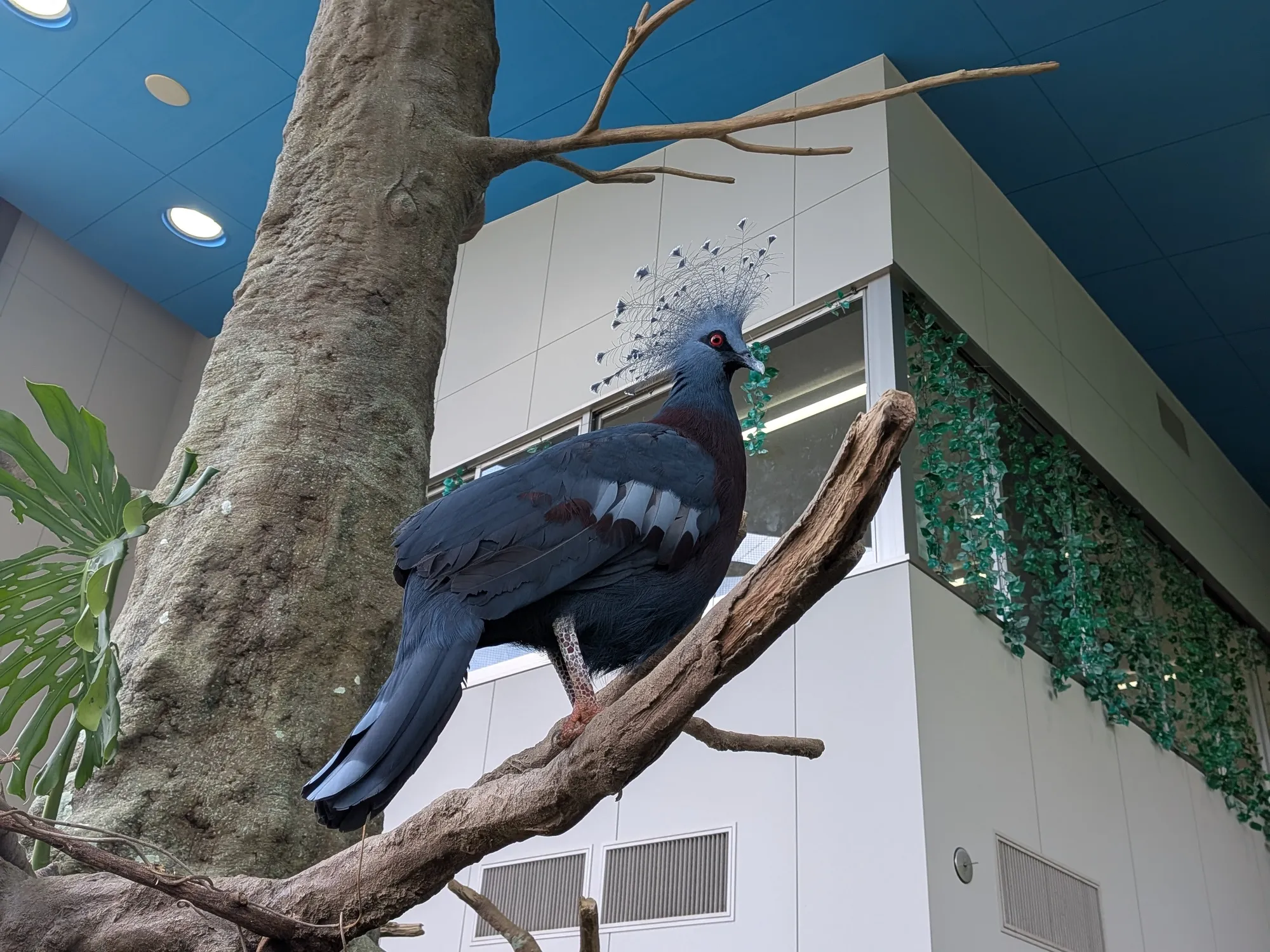たむら鍼灸整骨院のイメージ