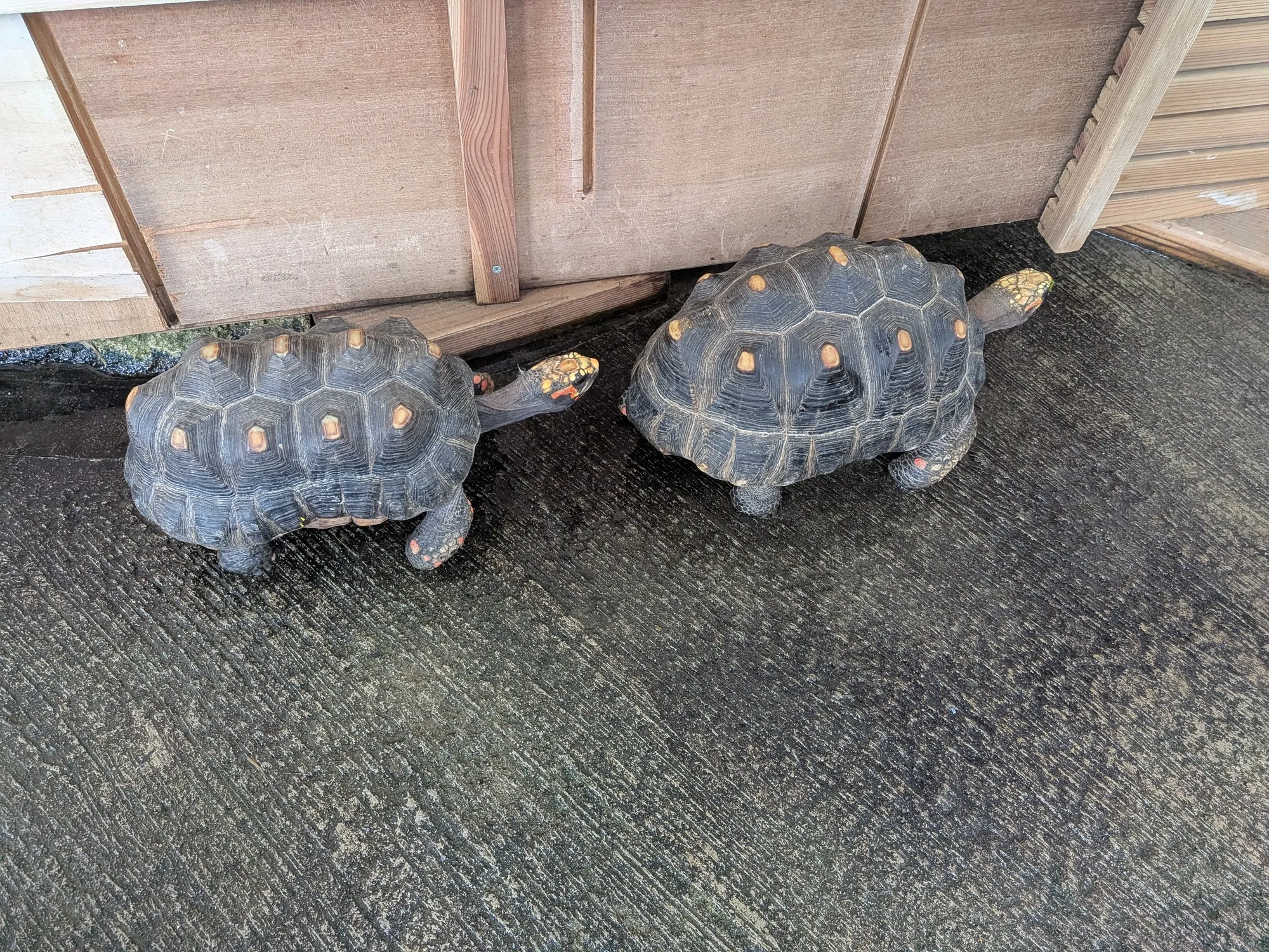 たむら鍼灸整骨院のイメージ