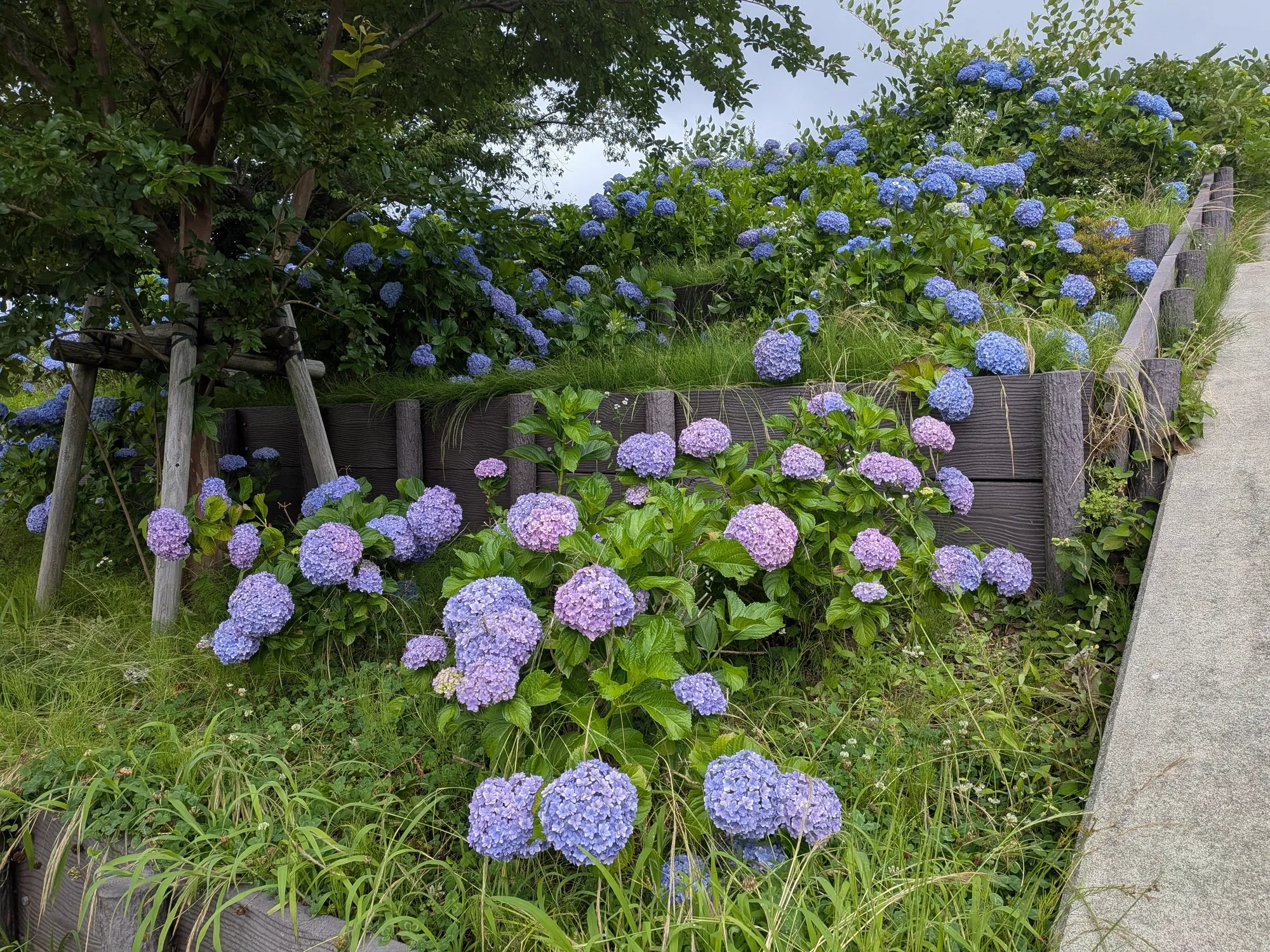 たむら鍼灸整骨院のイメージ